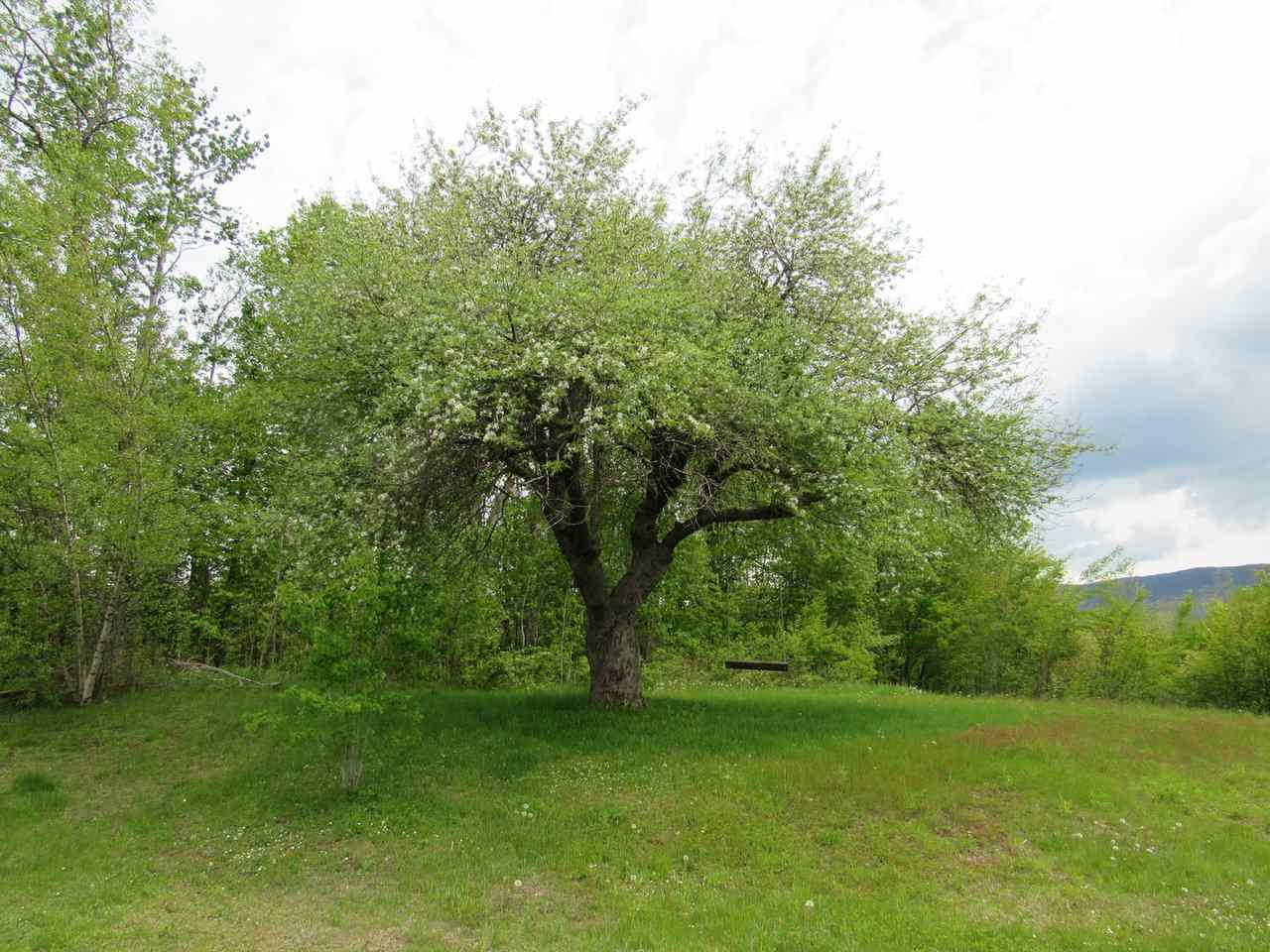 187 Jerusalem Road Starksboro, VT 05443 - Photo 18 of 33