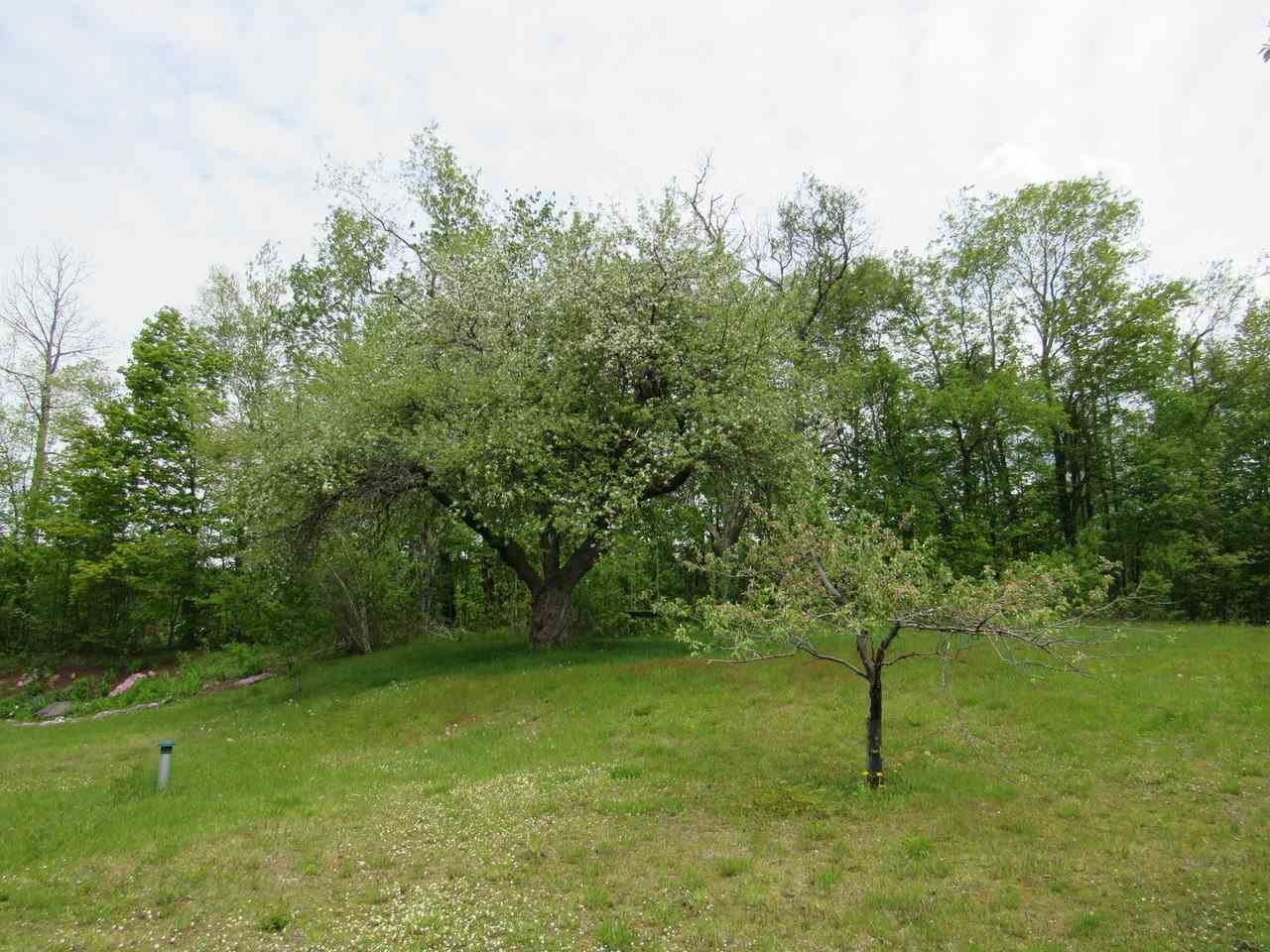 187 Jerusalem Road Starksboro, VT 05443 - Photo 27 of 33