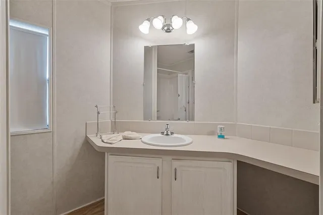 a bathroom with a sink and a mirror