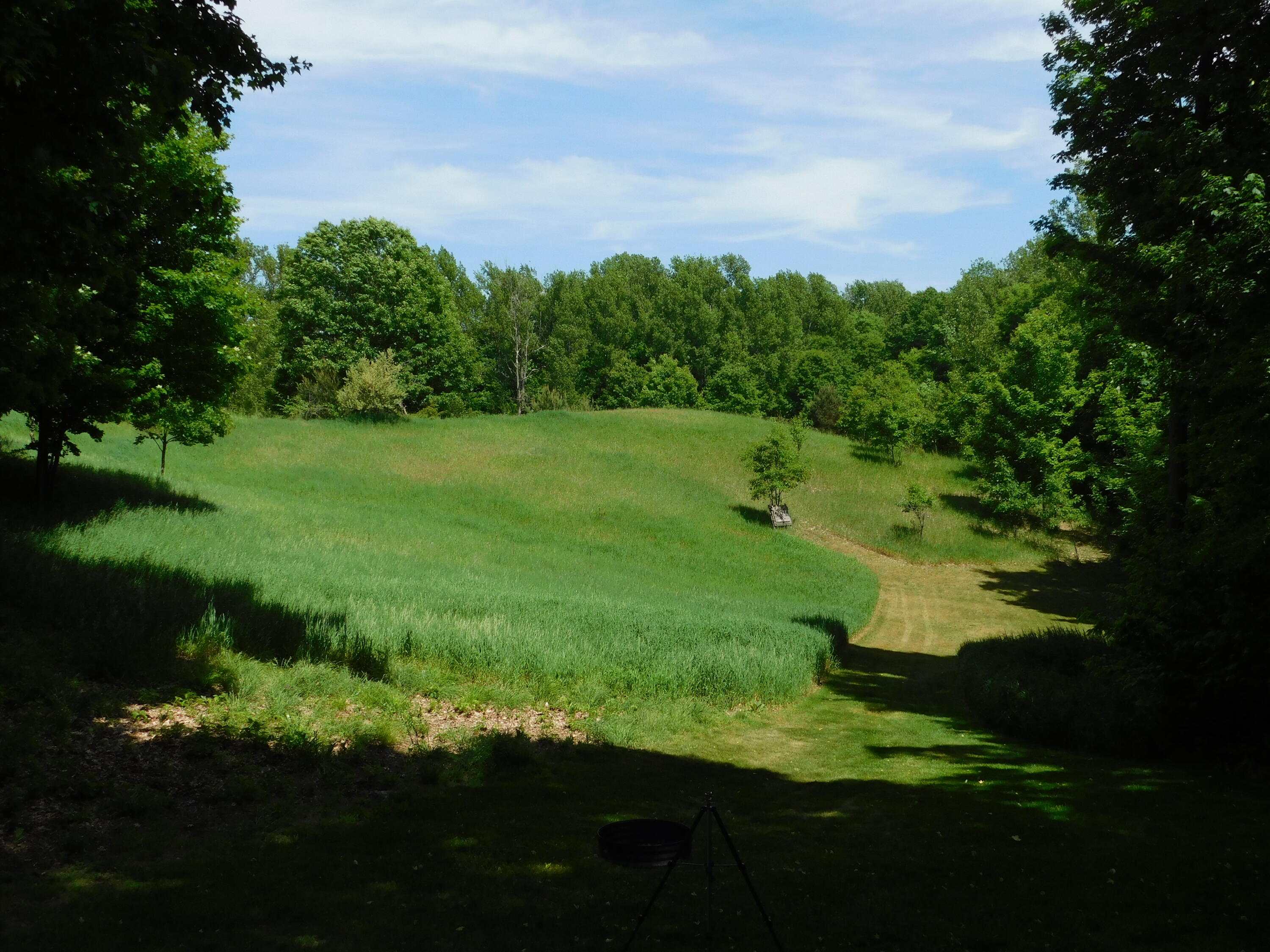 10653 Milarch Road Bear Lake, MI 49614 - Photo 12 of 86 DSCN2071
