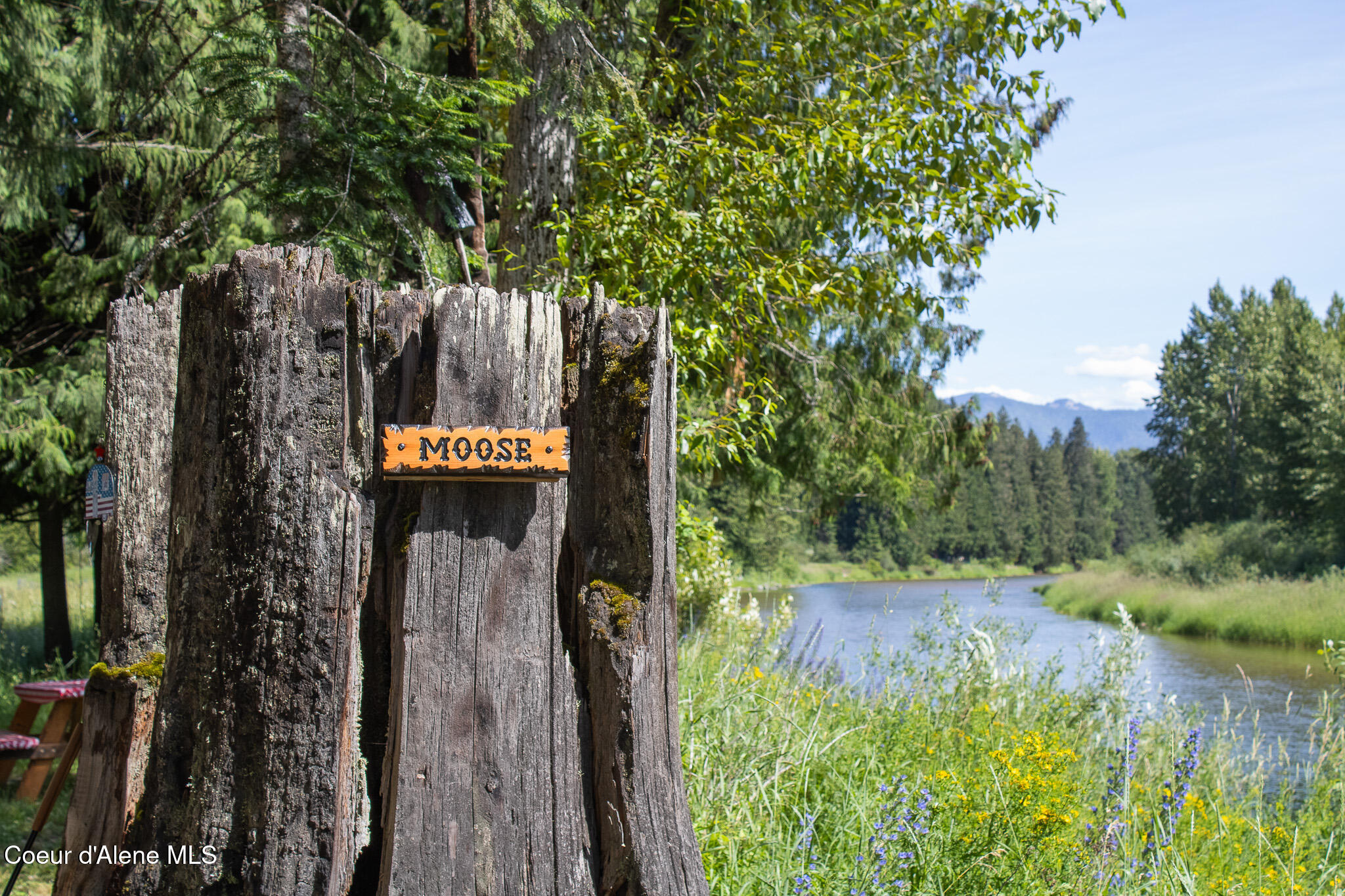 20264 Coeur D'Alene River Road Wallace, ID 83873 - Photo 50 of 59 Moose Campsite