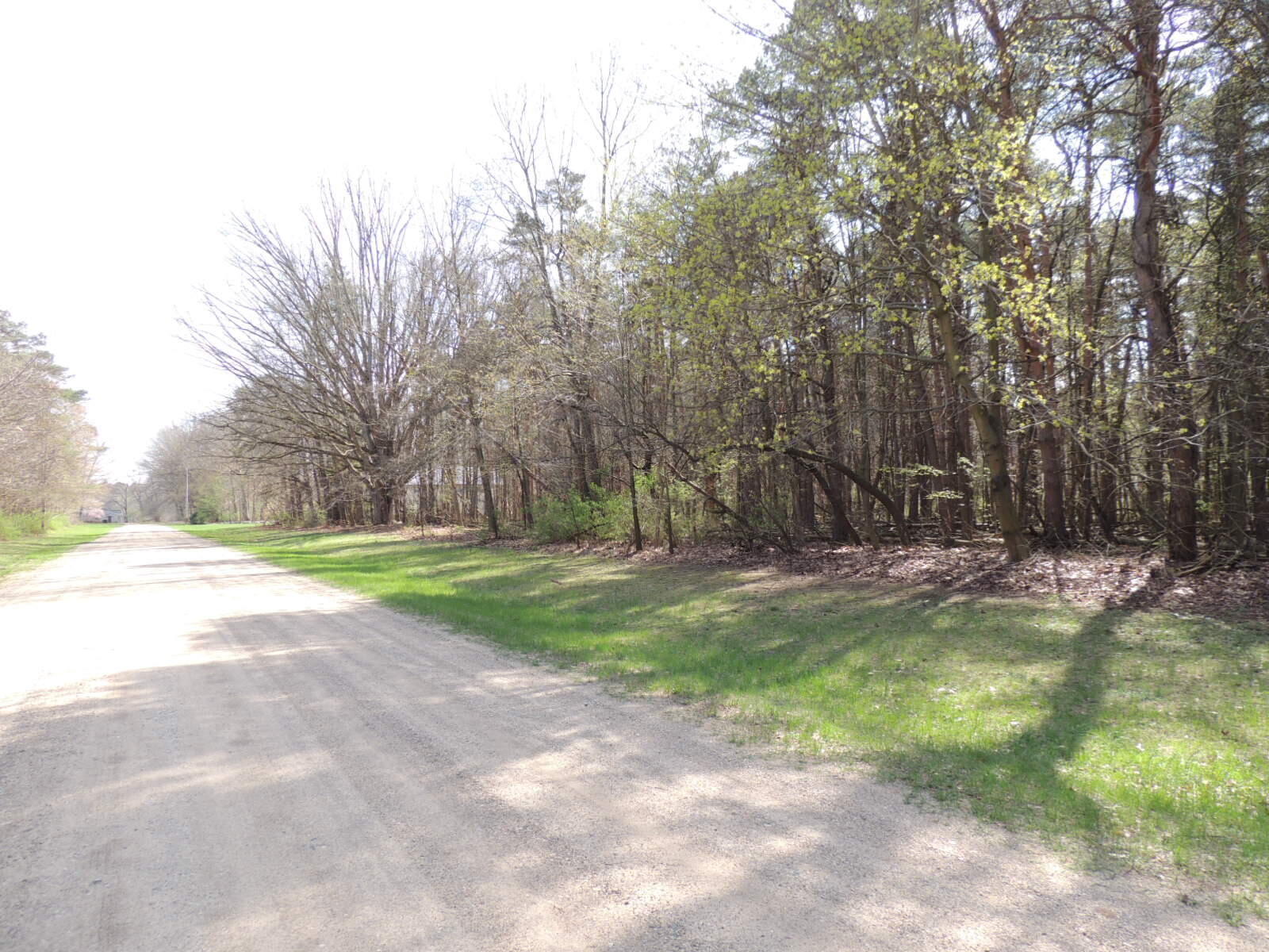 6342 Old Allegan Road Saugatuck, MI 49453 - Photo 54 of 58 DSCN4612