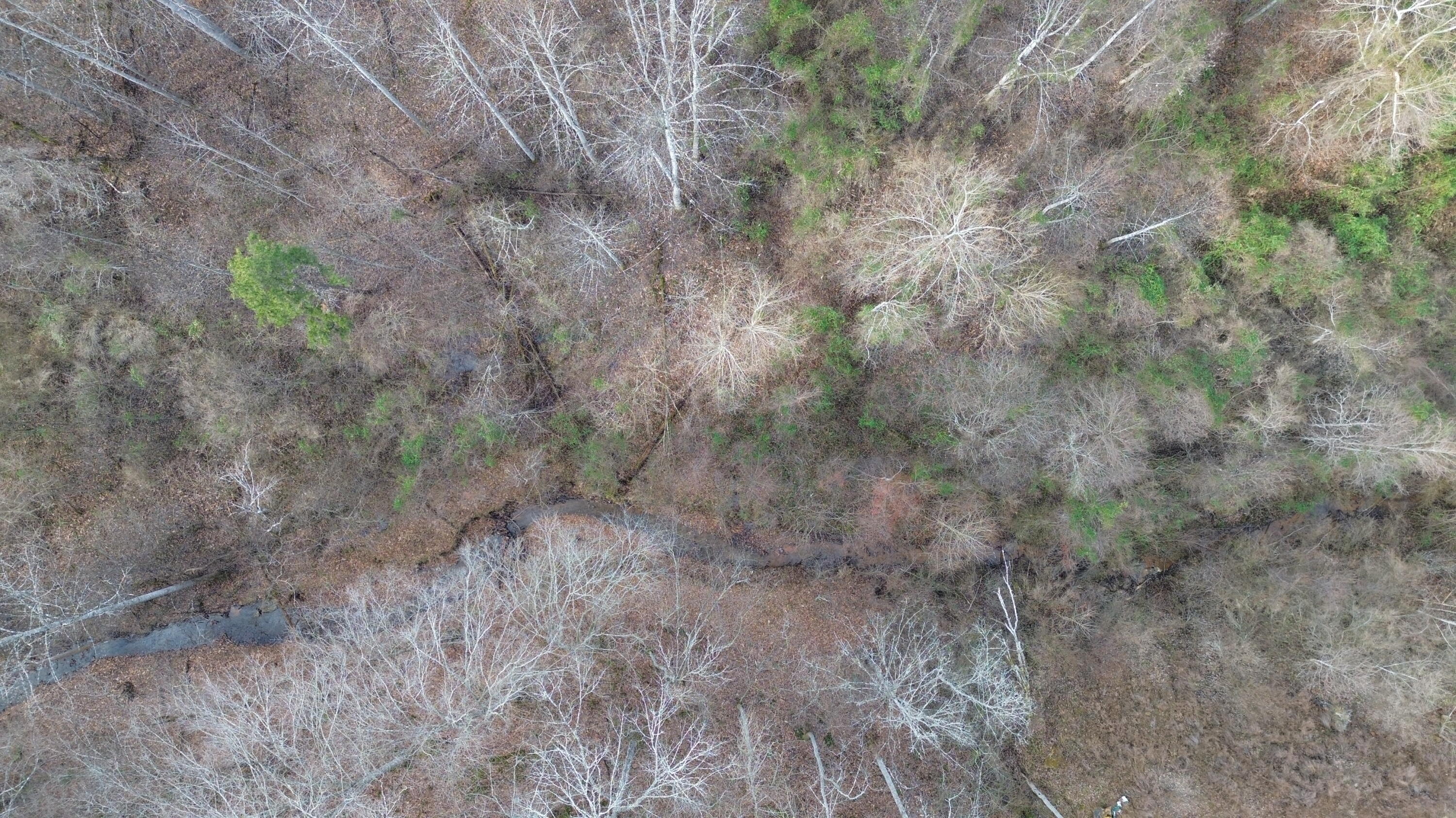 237 A Meat Scaffold Road Jackson, KY 41339 - Photo 5 of 44 creek