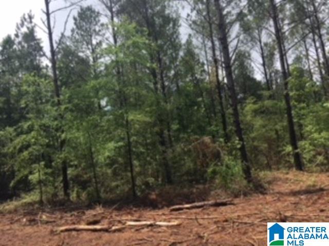 325 Springhill Road, Unit 1 Talladega, AL 35160 - Photo 8 of 31