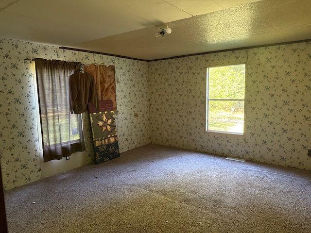 476 Berry Road Cedartown, GA 30125 - Photo 11 of 15 Gallery Image 11
