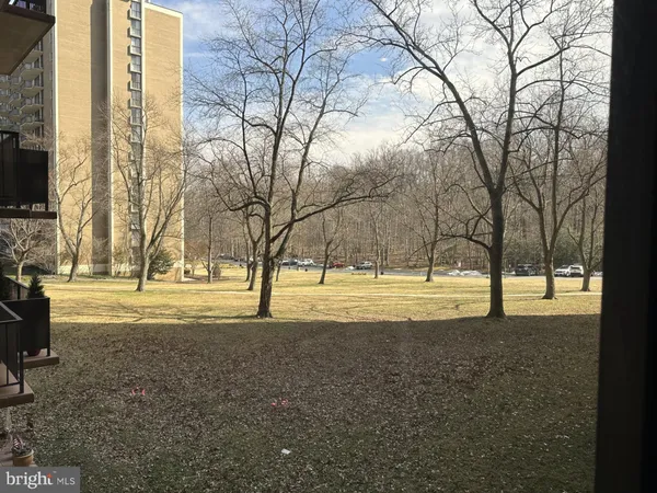 a view of large trees with yard