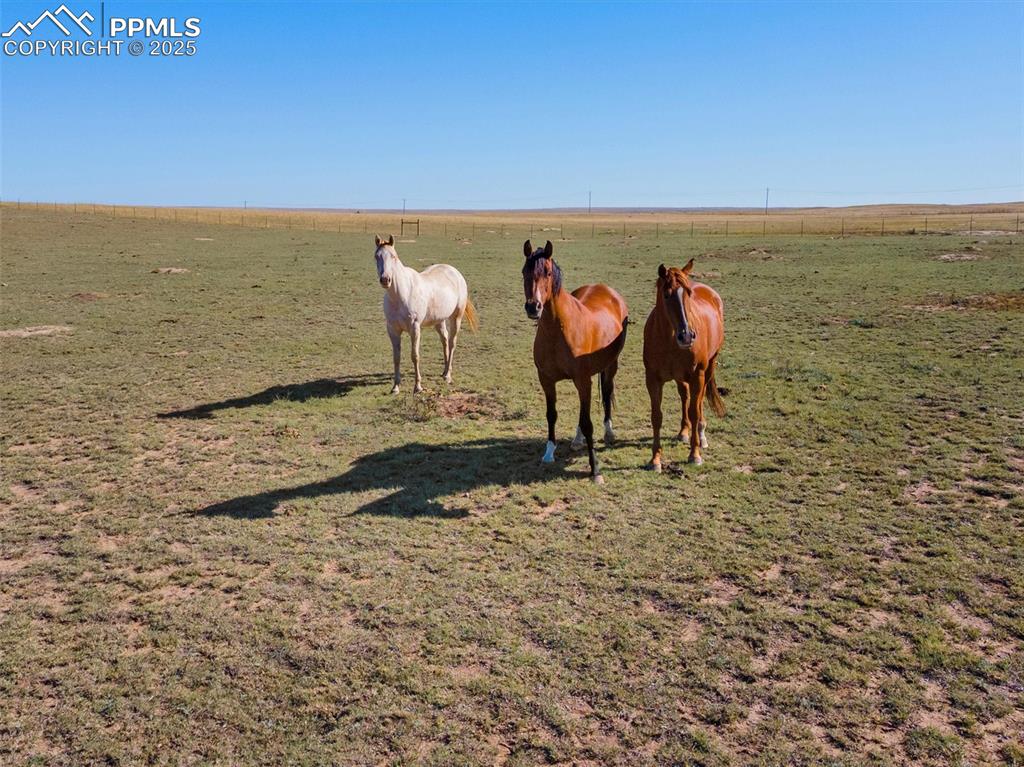 2690 East Ellicott Road South Calhan, CO 80808 - Photo 46 of 46 a view of a lake with outdoor space