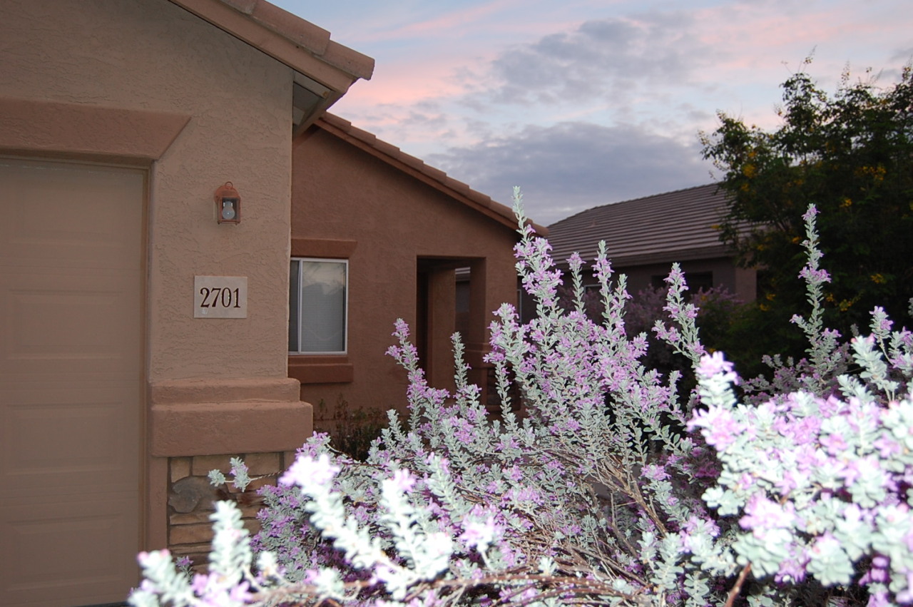 2701 East Bagdad Road San Tan Valley, AZ 85143 - Photo 2 of 26 DSC_1523