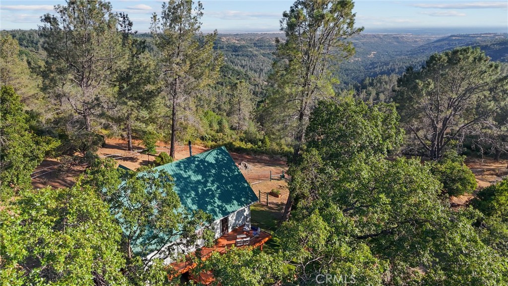 4592 Wendlis Road Forest Ranch, CA 95942 - Photo 48 of 64 an aerial view of a house with a yard and large trees