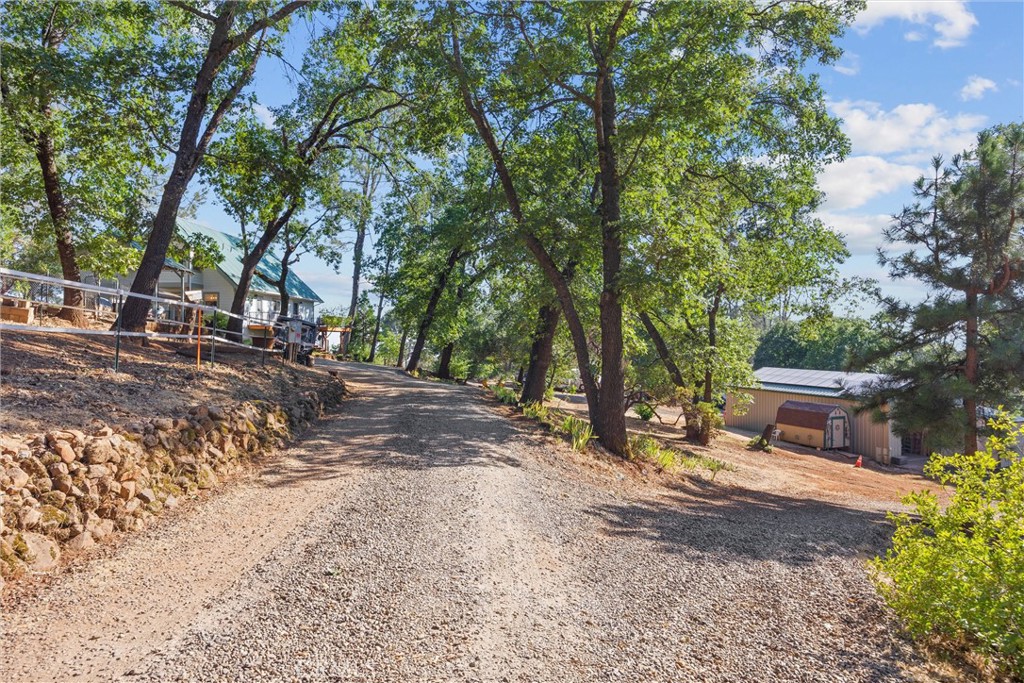 4592 Wendlis Road Forest Ranch, CA 95942 - Photo 49 of 64 a view of a backyard with table and chairs and a large tree
