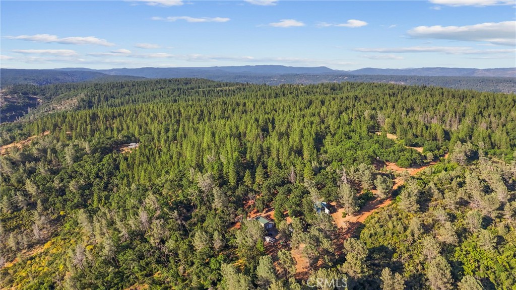 4592 Wendlis Road Forest Ranch, CA 95942 - Photo 64 of 64 a view of a lush green forest with a mountain