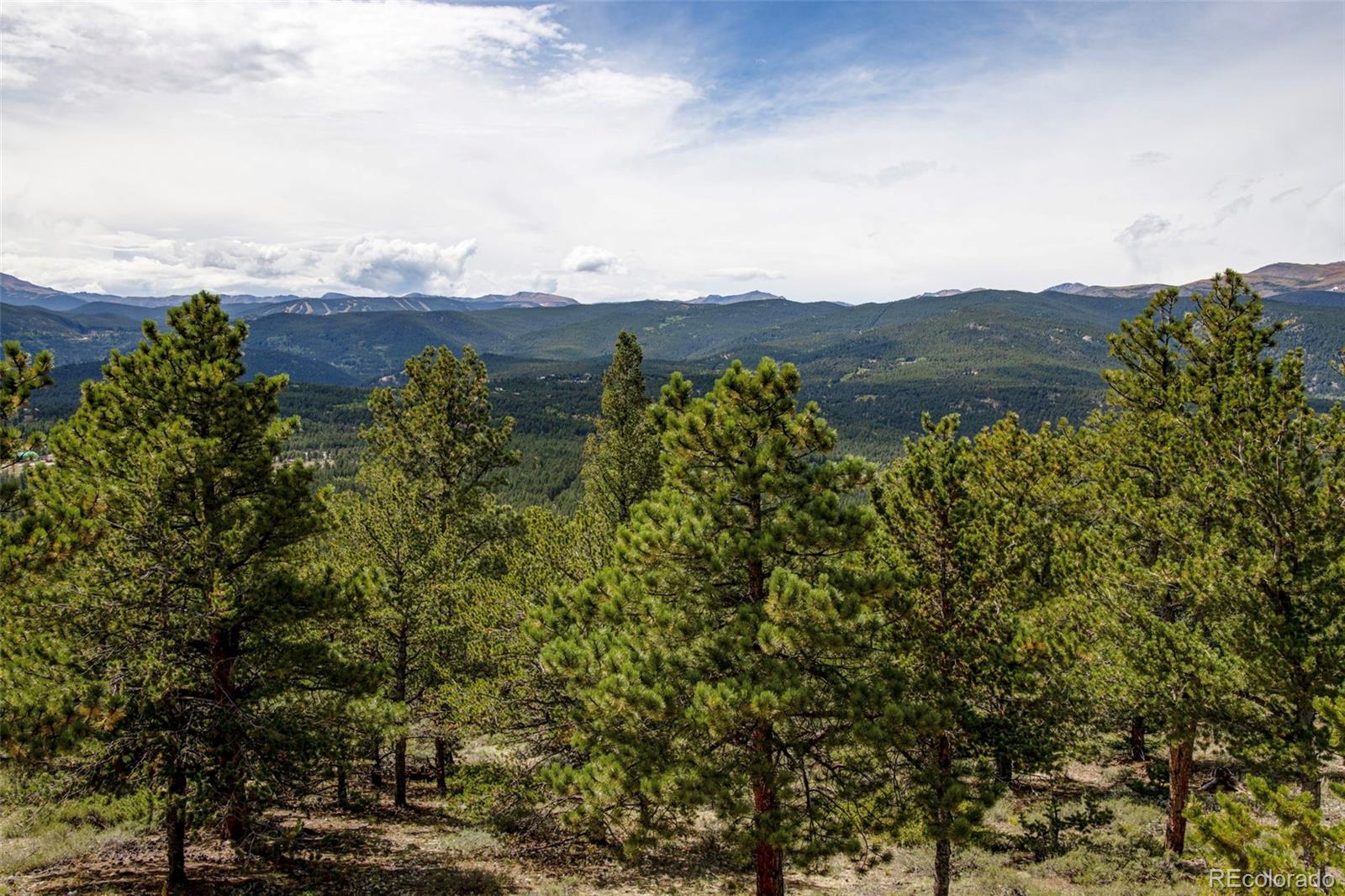 1455 Ridge Road Nederland, CO 80466 - Photo 11 of 44