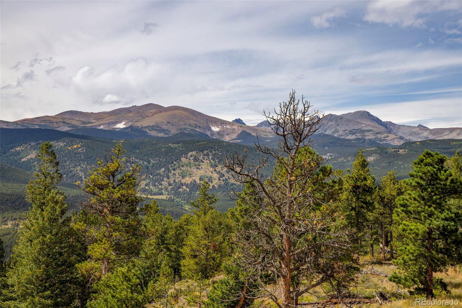 1455 Ridge Road Nederland, CO 80466 - Photo 9 of 44