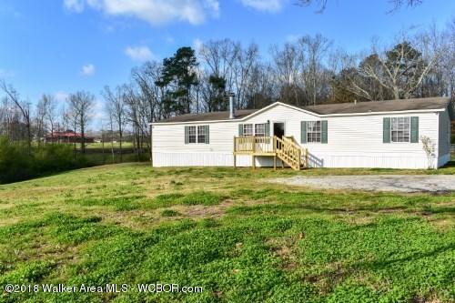 4379 Rose Hill Road Nauvoo, AL 35578 - Photo 2 of 28 Gallery Image 2