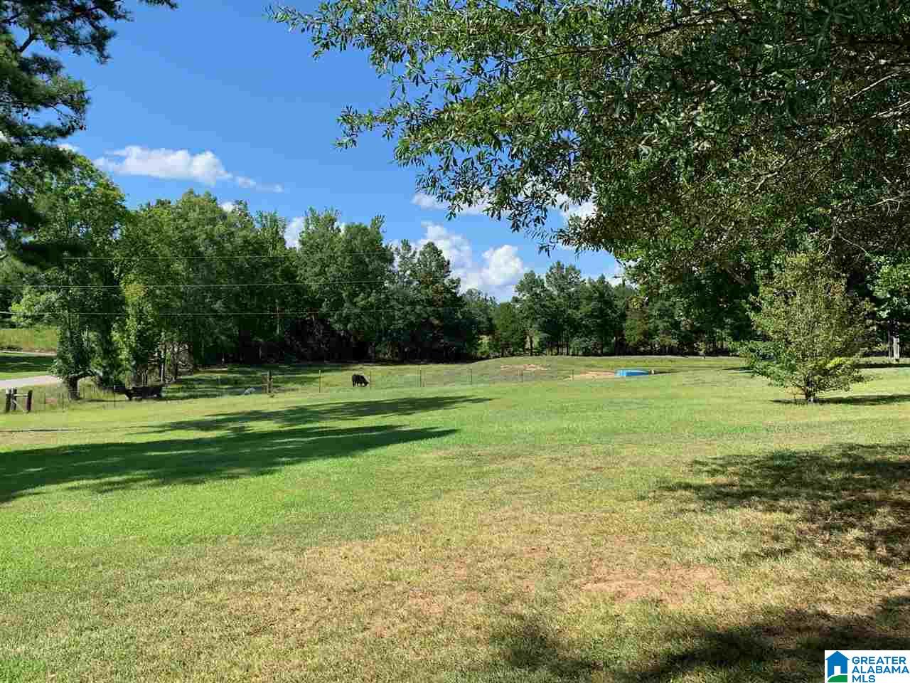 4670 Cedar Springs Road Jacksonville, AL 36265 - Photo 15 of 17