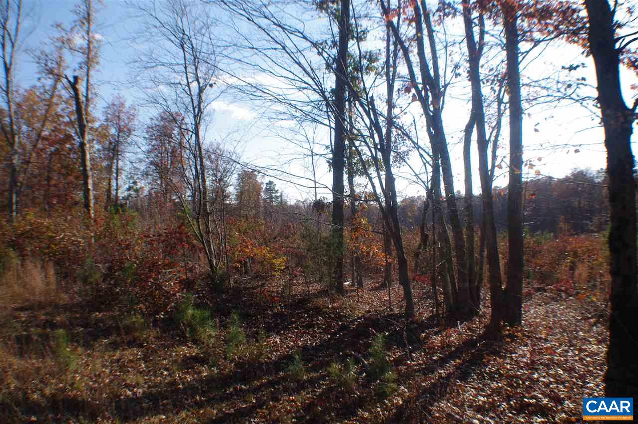 0 Ruritan Lake Road Palmyra, VA 22963 - Photo 1 of 4 a view of outdoor space with lots of trees