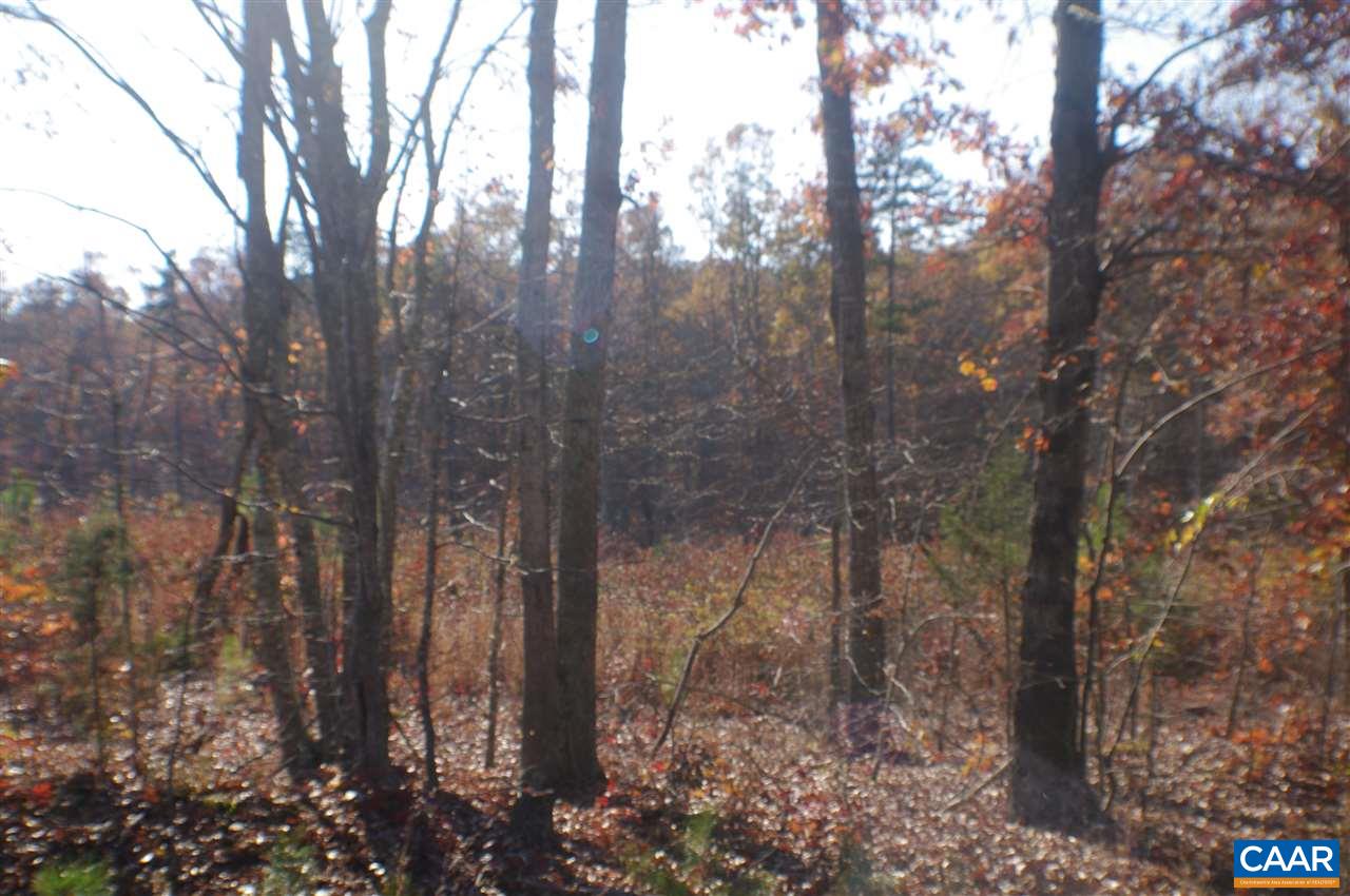 0 Ruritan Lake Road Palmyra, VA 22963 - Photo 3 of 4 a view of a forest that has large trees