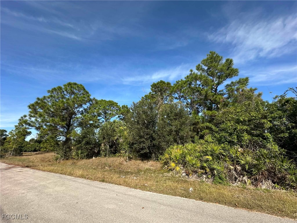 3418 39th Street Southwest Lehigh Acres, FL 33976 - Photo 2 of 10 a backyard of a house with lots of green space