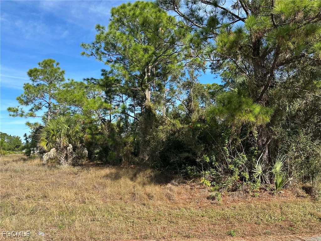 3418 39th Street Southwest Lehigh Acres, FL 33976 - Photo 6 of 10 a view of a yard with plants and tree