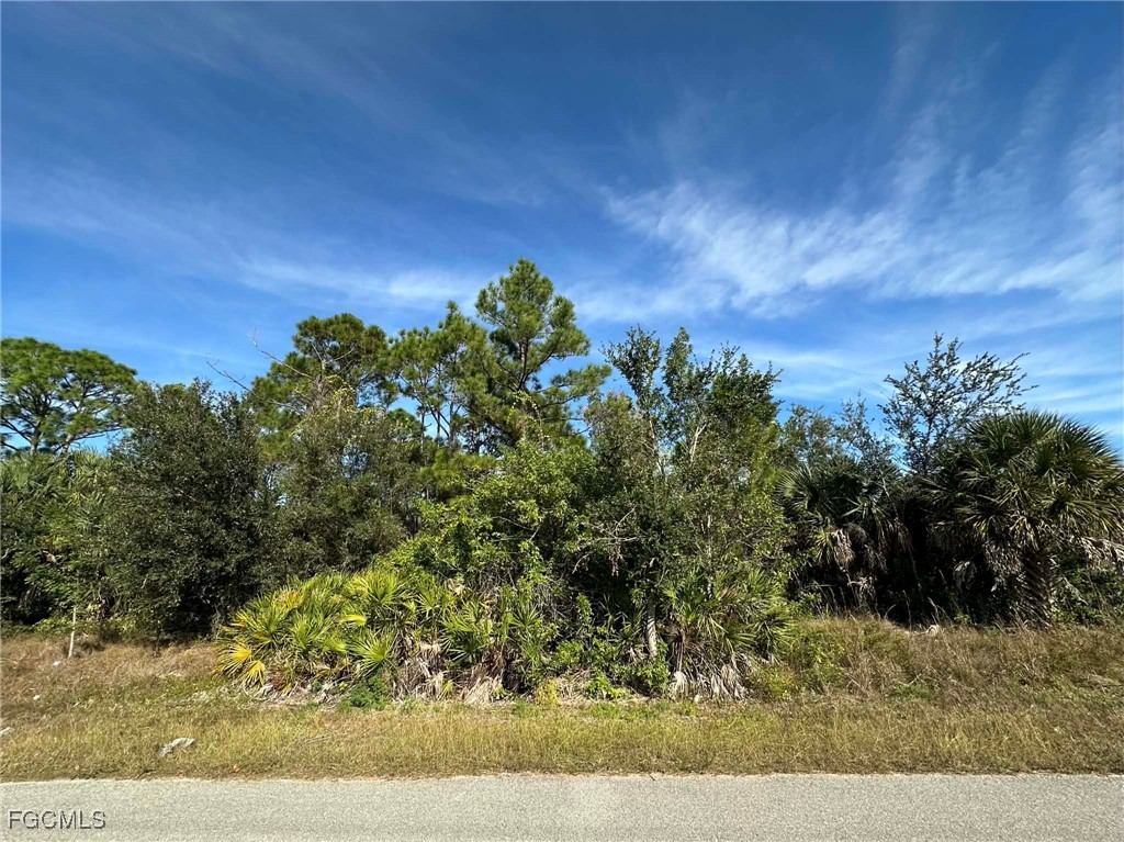 3418 39th Street Southwest Lehigh Acres, FL 33976 - Photo 7 of 10 a view of a yard