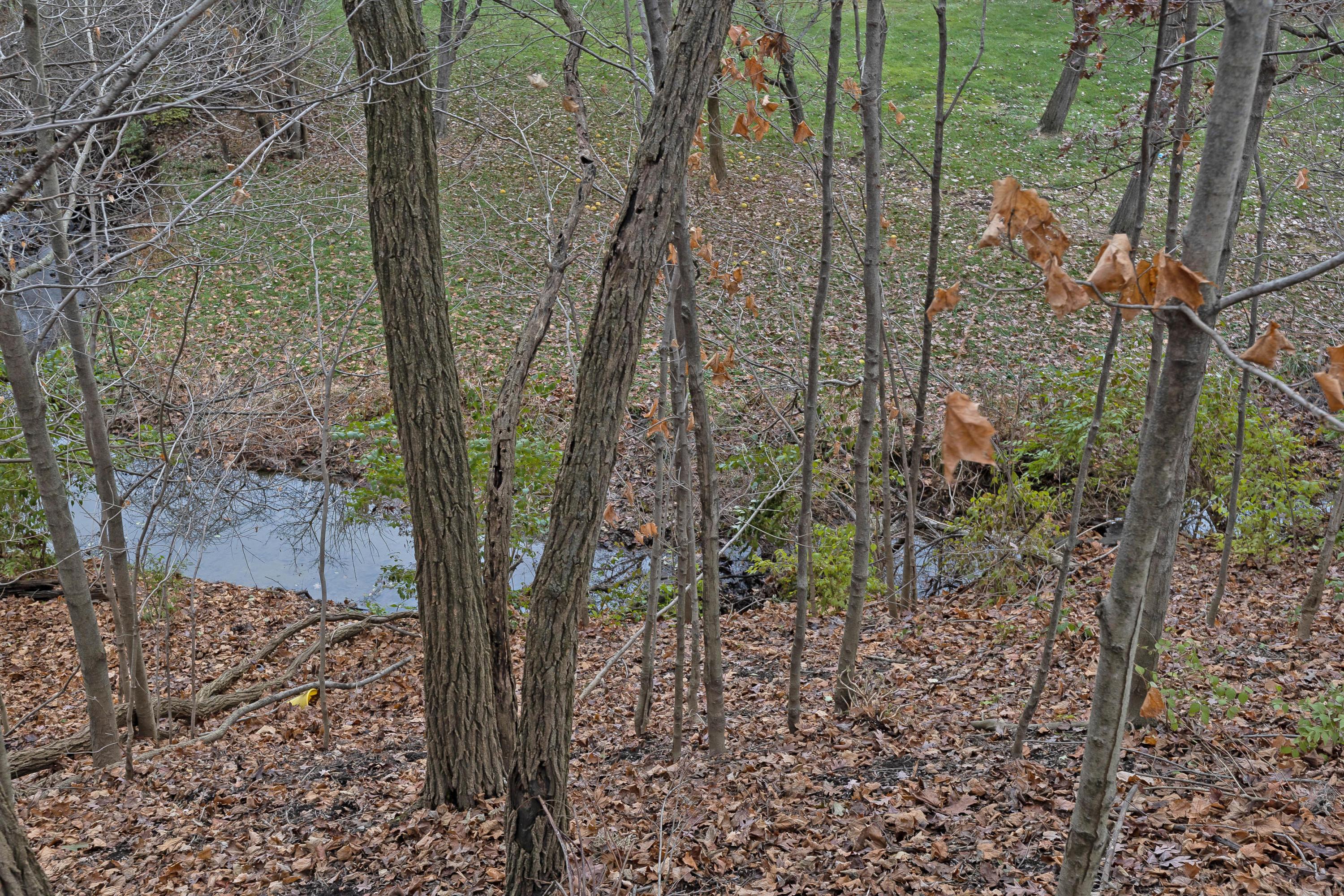 8251 Liberty Road North Powell, OH 43065 - Photo 66 of 70 Gallery Image 66