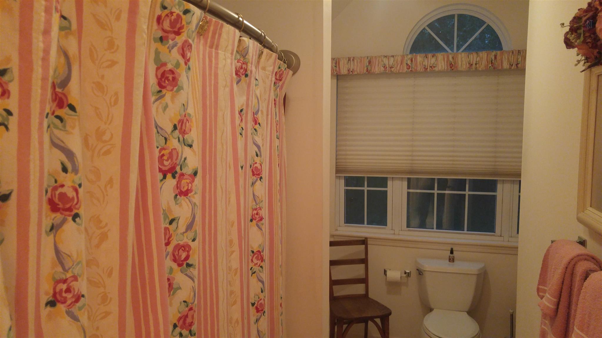 966 Dixie Bee Road Adams, TN 37010 - Photo 22 of 28 a bathroom with a window and a shower curtain
