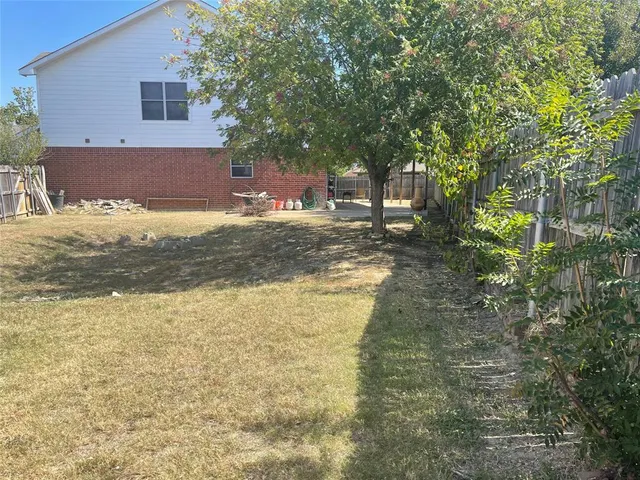a view of a yard with plants and trees