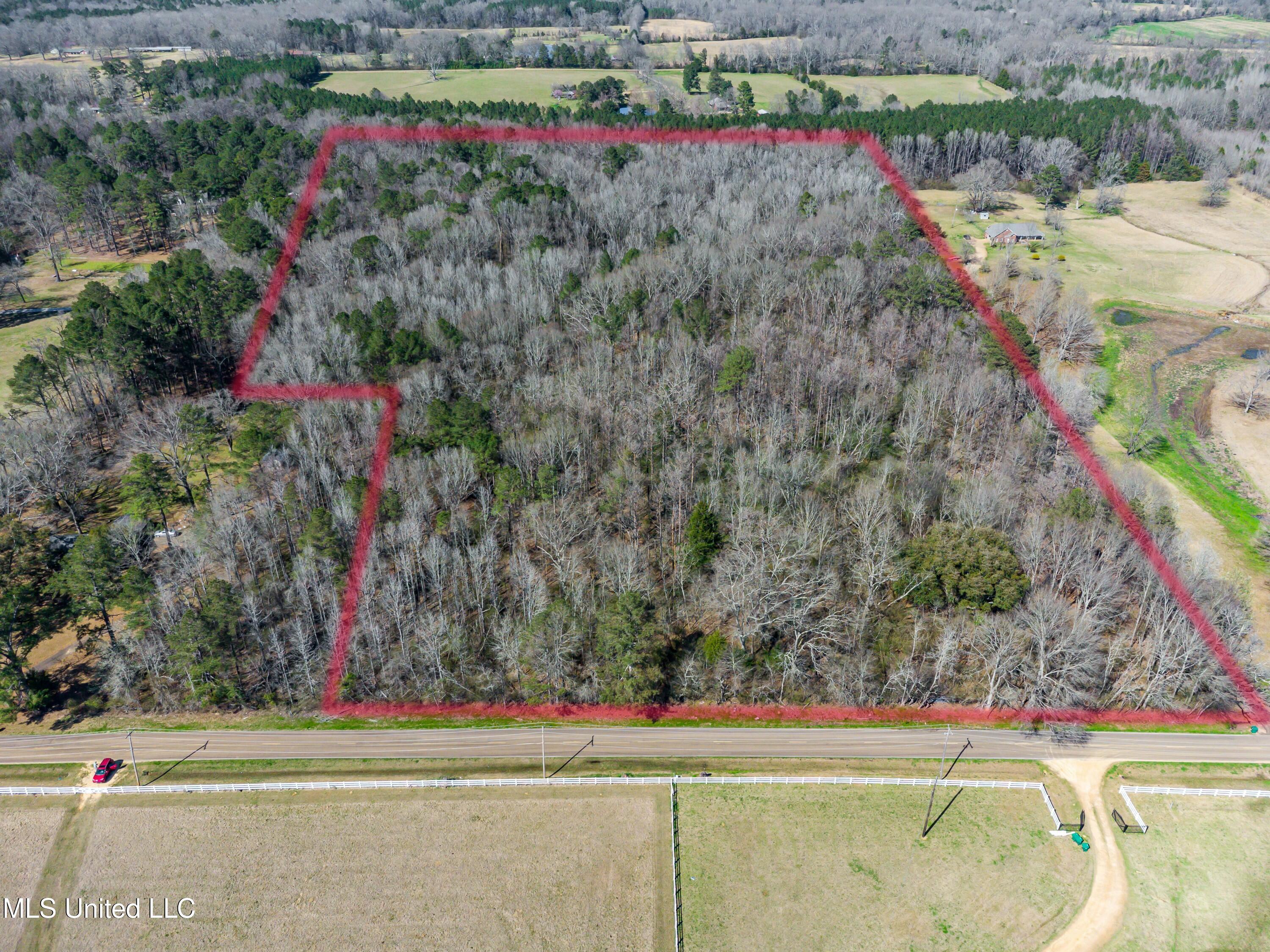 Lebanon Pinegrove Road Terry, MS 39170 - Photo 3 of 10 tempImageHwMkcS