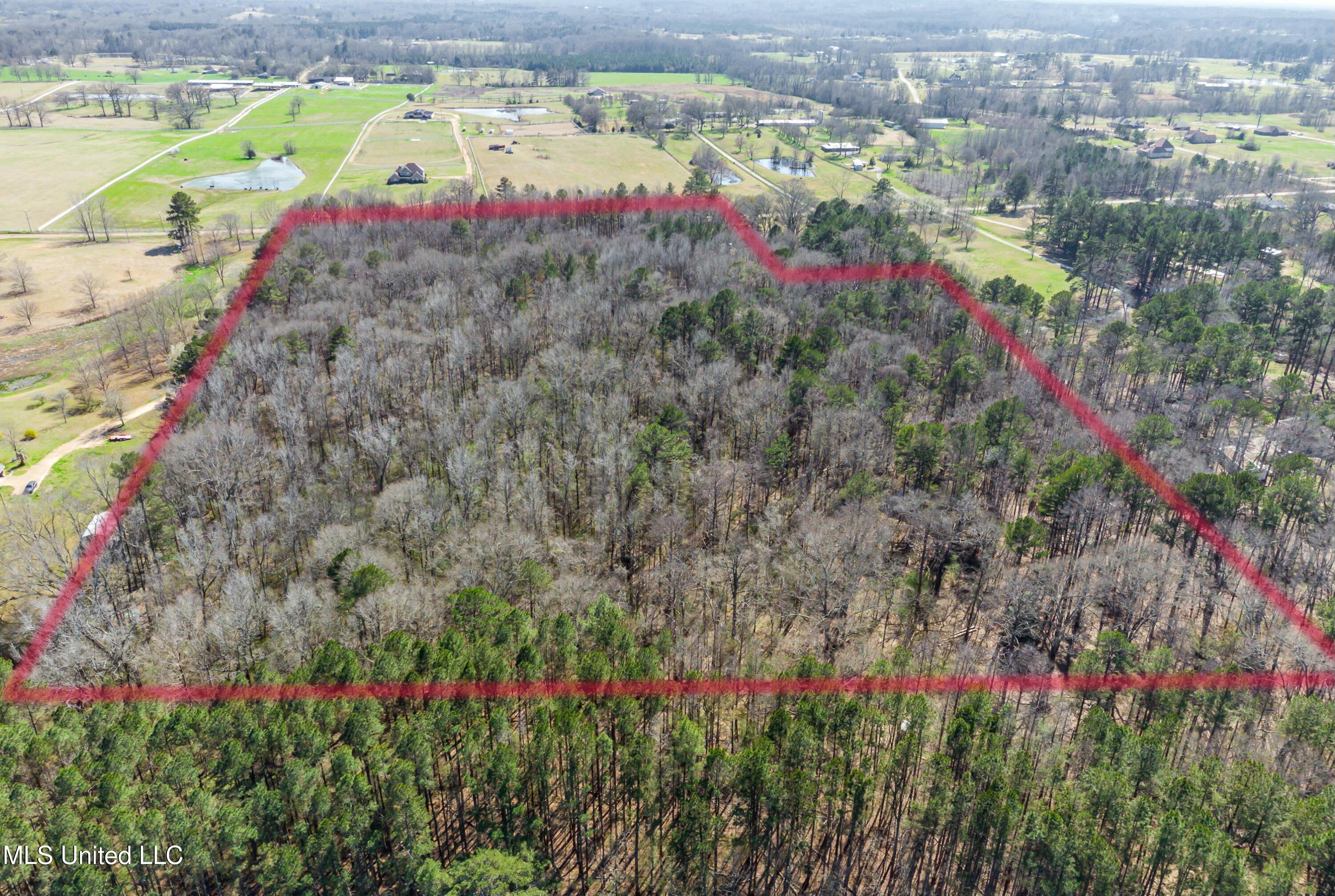 Lebanon Pinegrove Road Terry, MS 39170 - Photo 4 of 10 tempImagehUlZRX