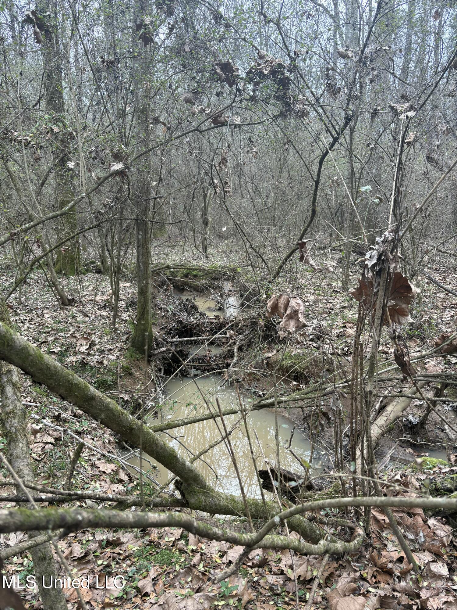 Lebanon Pinegrove Road Terry, MS 39170 - Photo 6 of 10 tempImageLi9jzI