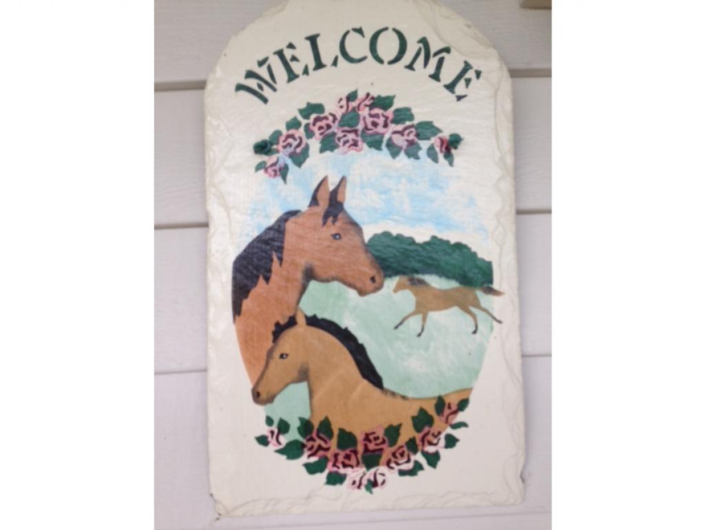 244 John's Road Williston, VT 05495 - Photo 24 of 36