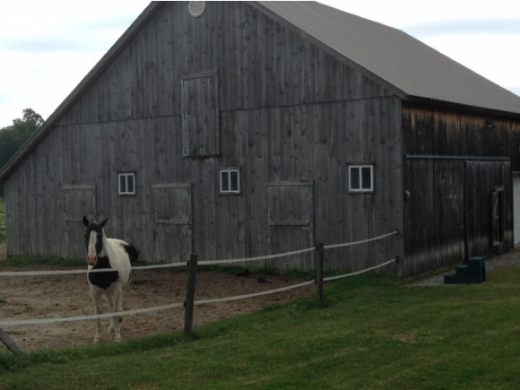 244 John's Road Williston, VT 05495 - Photo 29 of 36