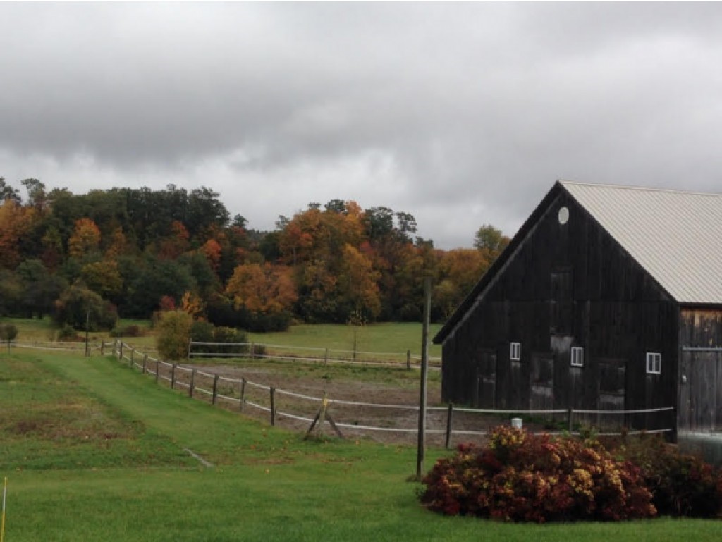 244 John's Road Williston, VT 05495 - Photo 32 of 36