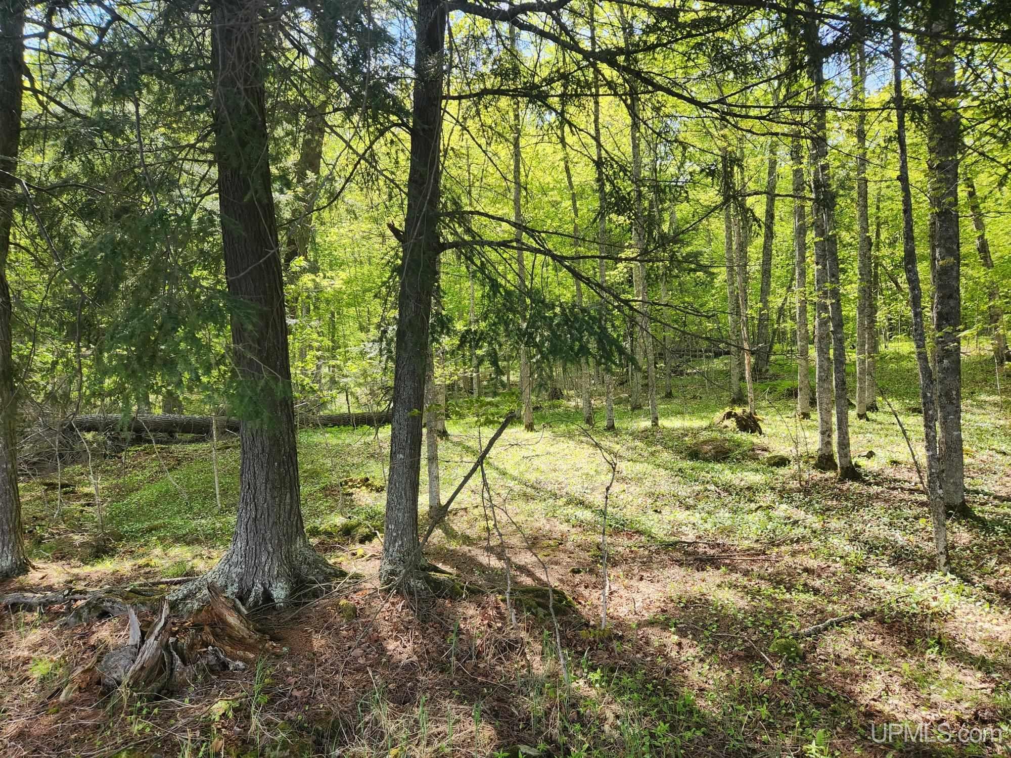 Lot 18 University Road Iron River, MI 49935 - Photo 28 of 36 Gallery Image 28