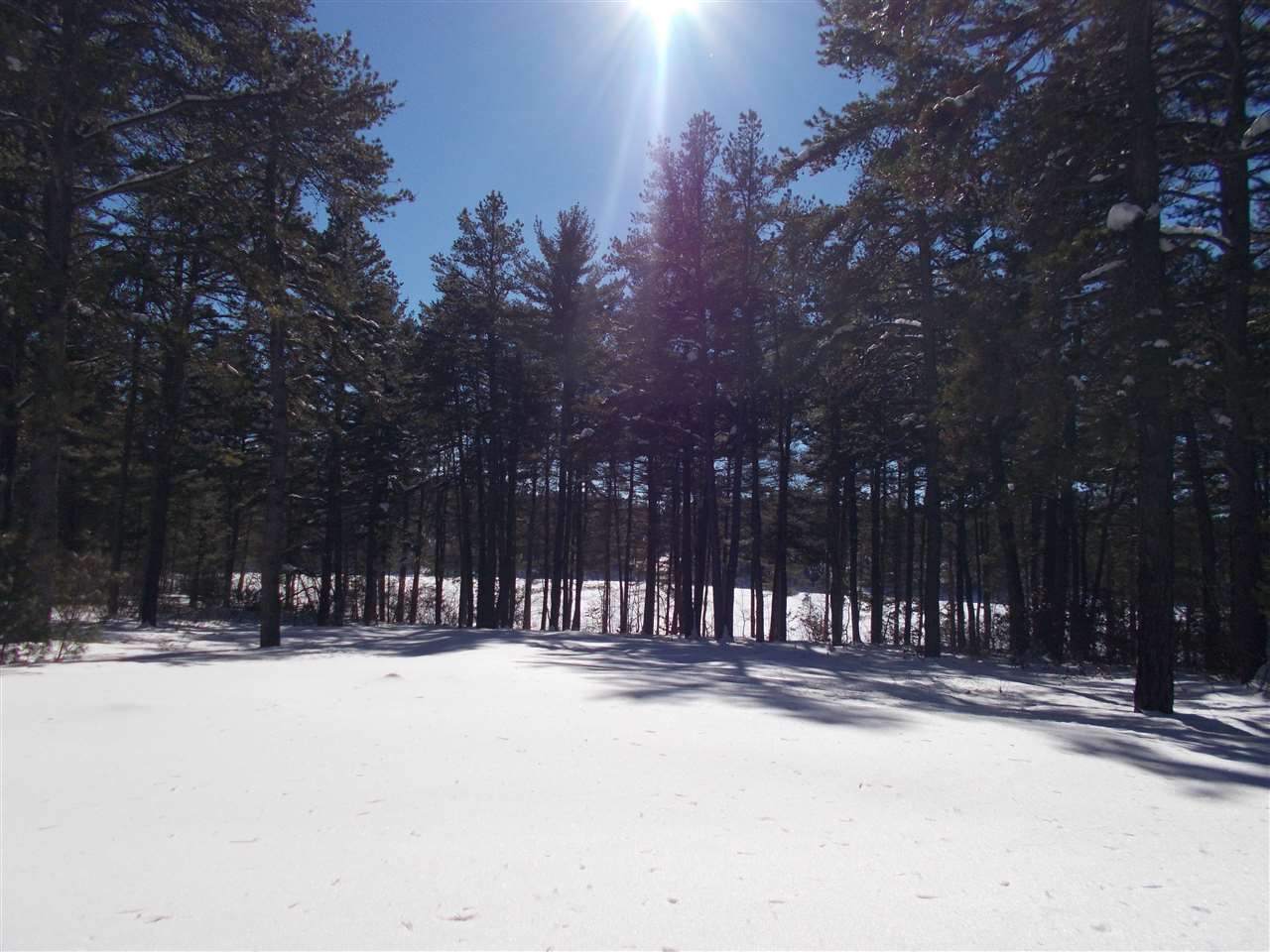 706 Moores Pond Road Madison, NH 03875 - Photo 3 of 16