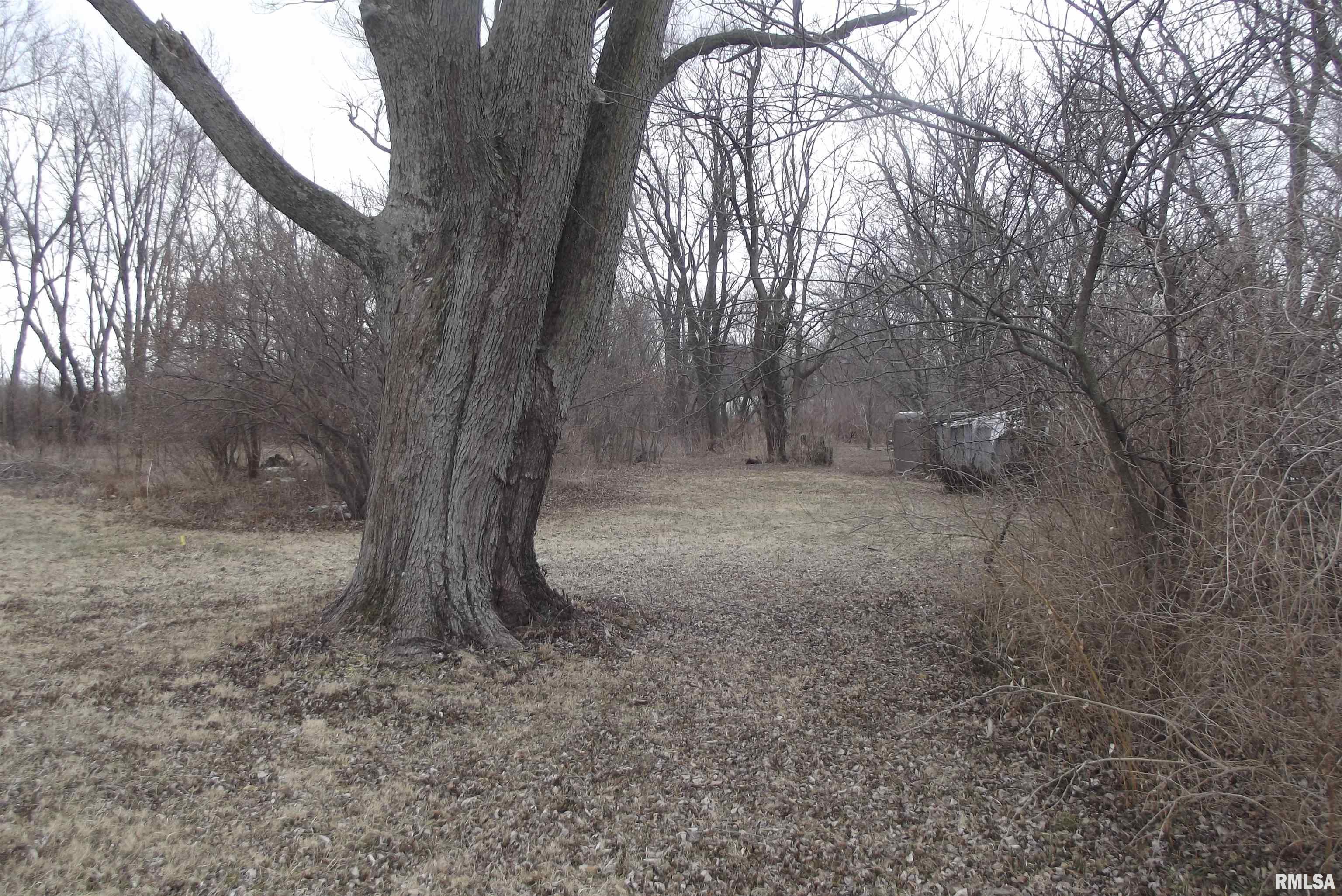 4922 Narmont Road Auburn, IL 62615 - Photo 2 of 6 Gallery Image 2