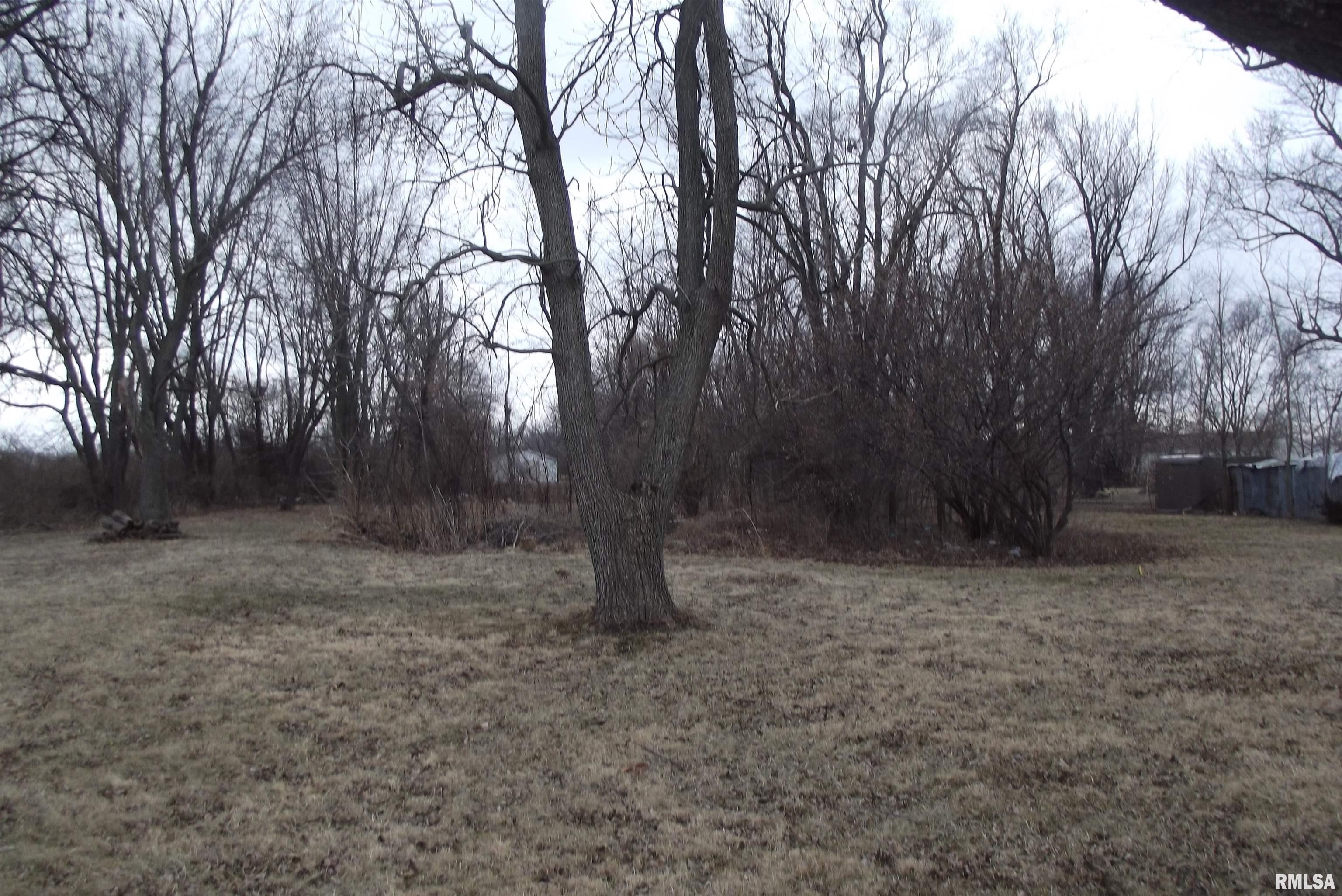 4922 Narmont Road Auburn, IL 62615 - Photo 4 of 6 Gallery Image 4
