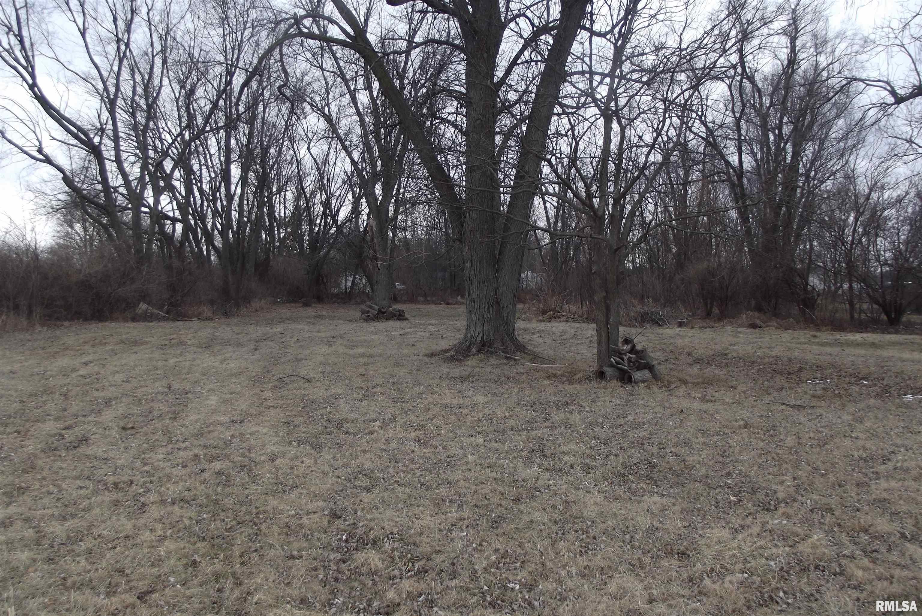 4922 Narmont Road Auburn, IL 62615 - Photo 6 of 6 Gallery Image 6