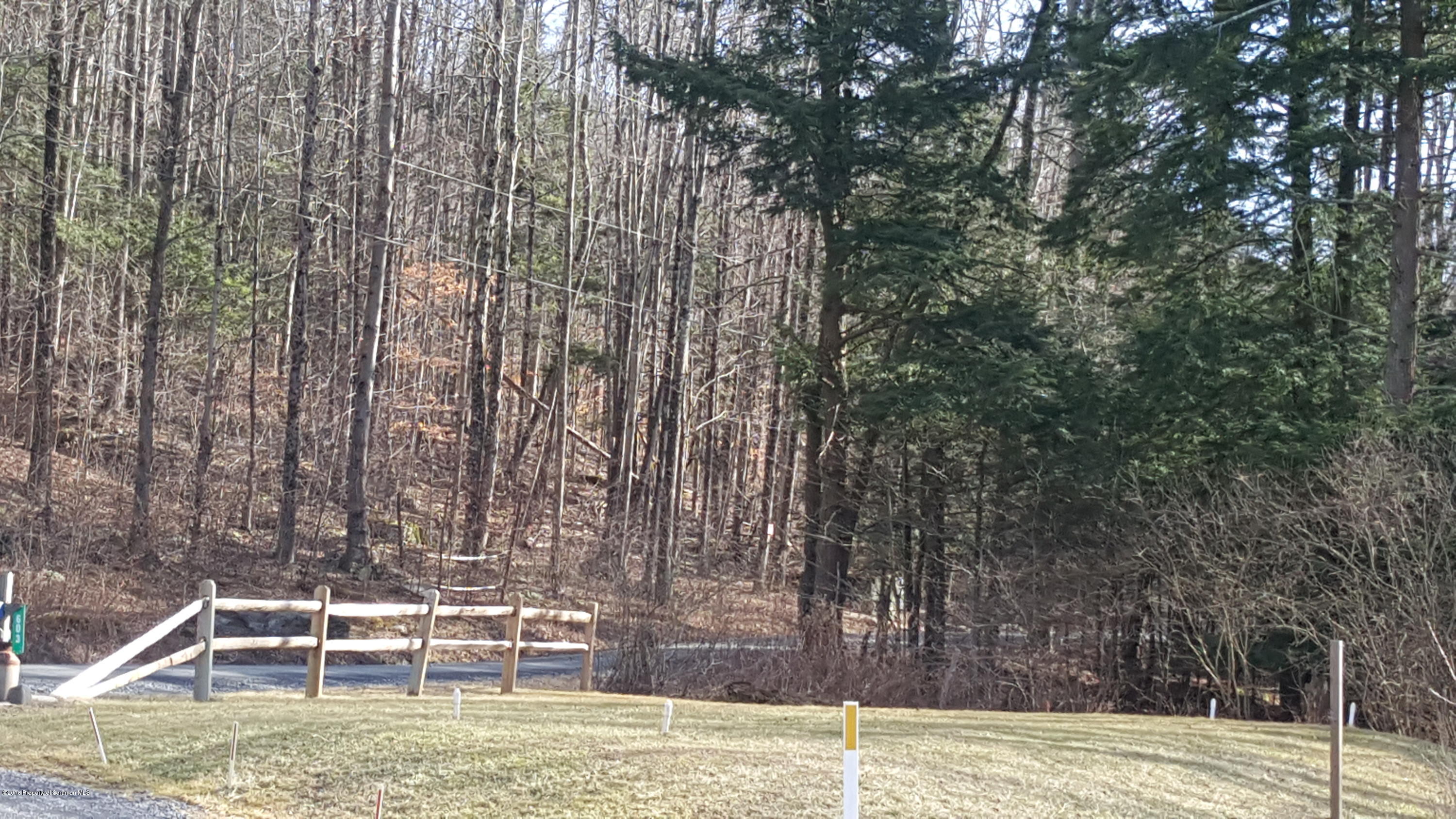 603 Knickerbocker Road Nicholson, PA 18446 - Photo 64 of 111 Gallery Image 64