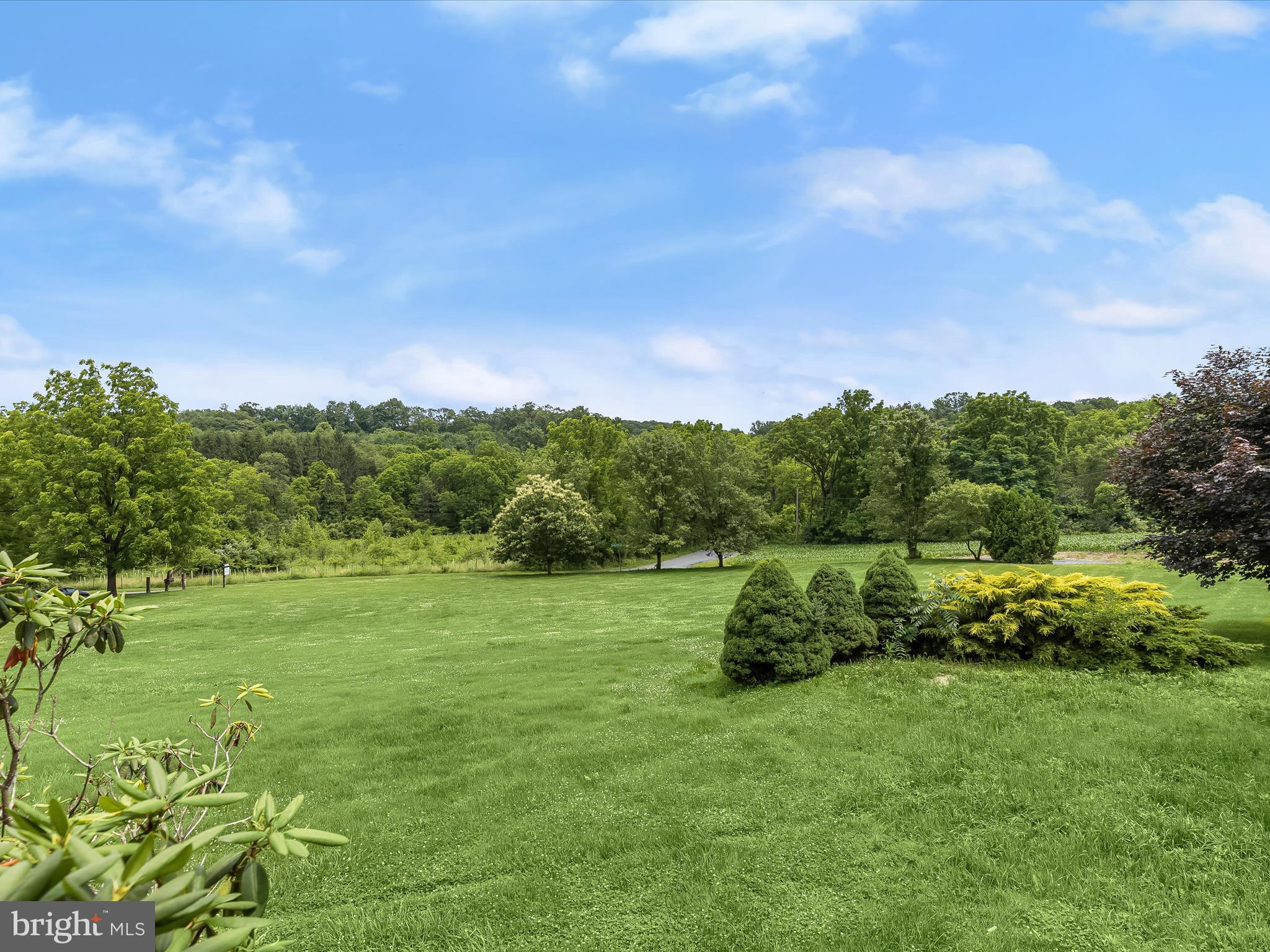 4704 Baughman Mill Road Manchester, MD 21102 - Photo 43 of 64 a big yard with lots of green space