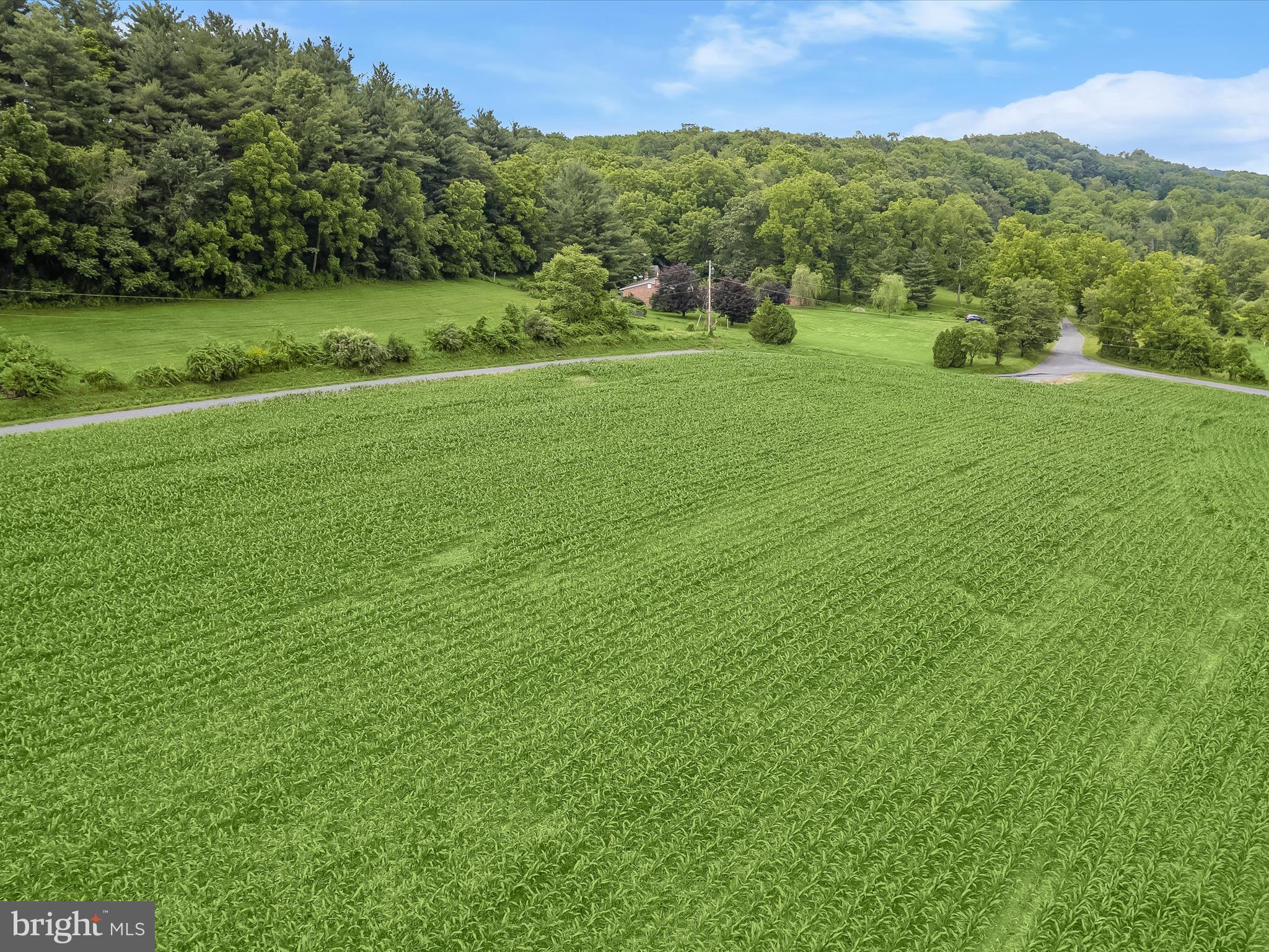 4704 Baughman Mill Road Manchester, MD 21102 - Photo 47 of 64 a view of a grassy field with trees