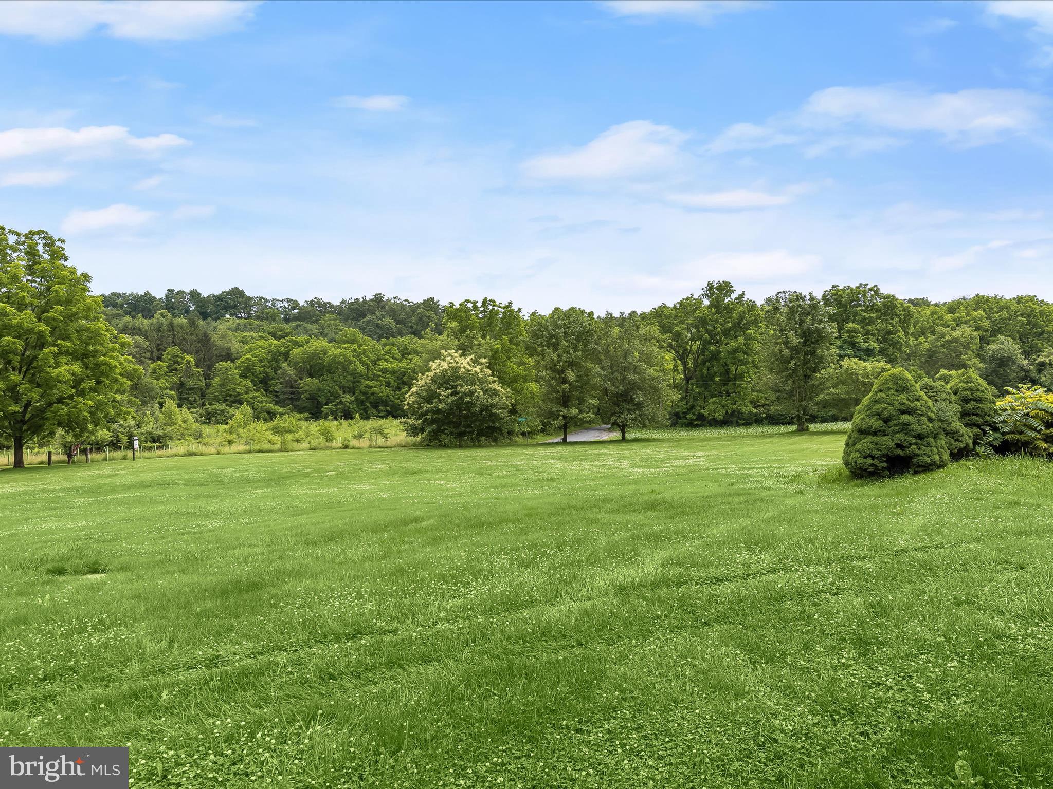 4704 Baughman Mill Road Manchester, MD 21102 - Photo 50 of 64 a view of a field of grass and trees