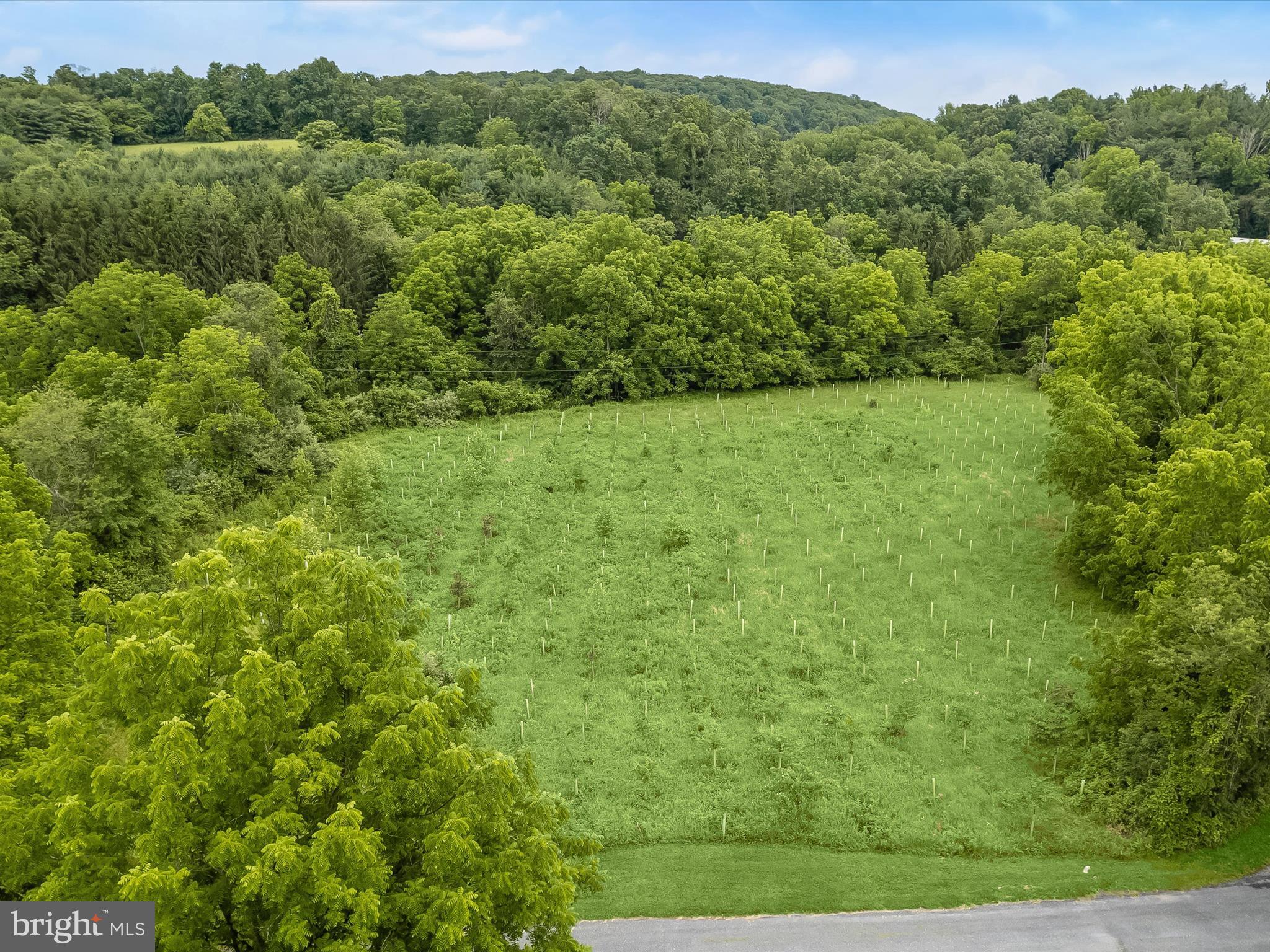 4704 Baughman Mill Road Manchester, MD 21102 - Photo 59 of 64 a view of a green field with lots of bushes
