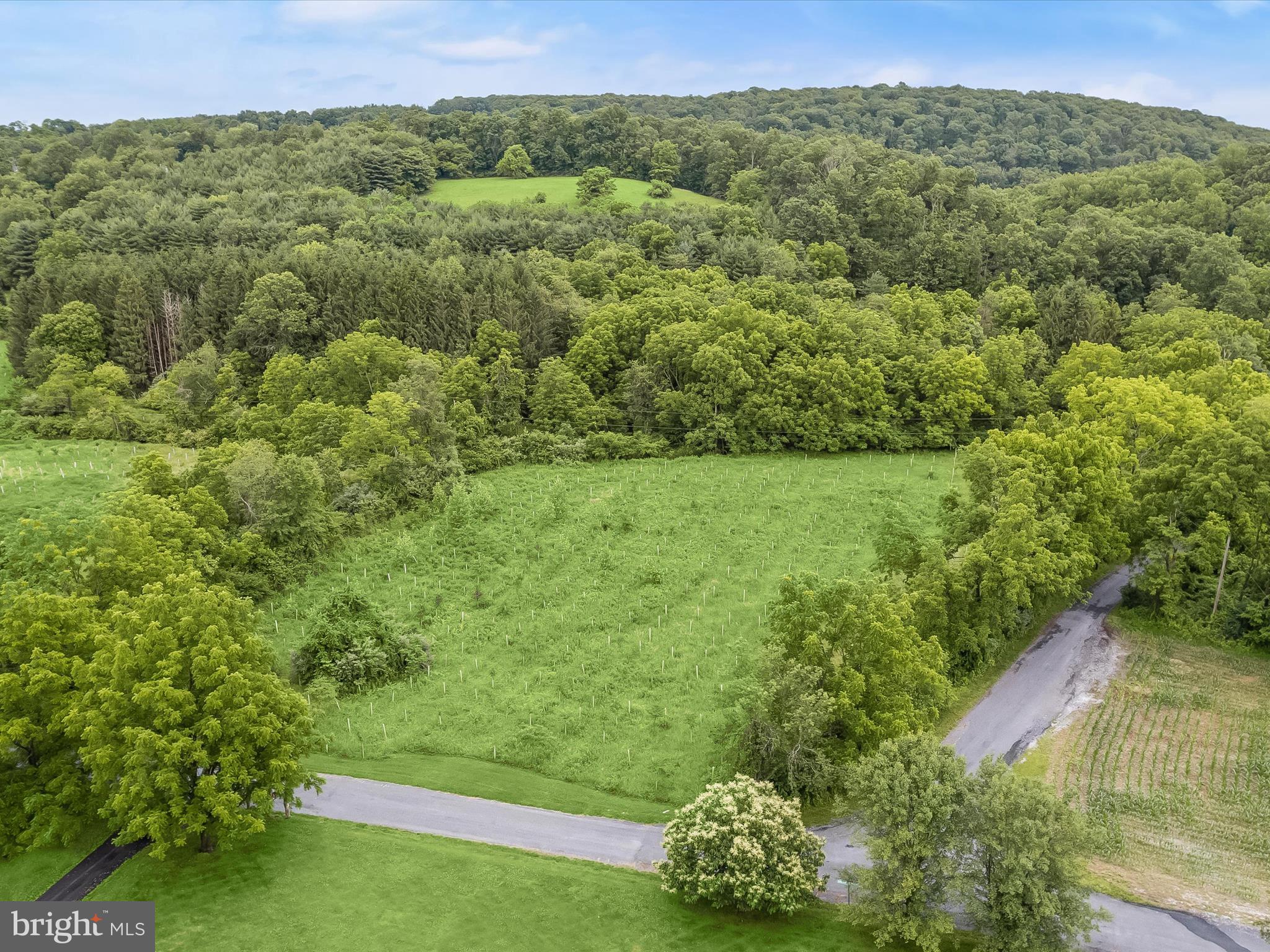4704 Baughman Mill Road Manchester, MD 21102 - Photo 60 of 64 a view of a lush green forest with a lake