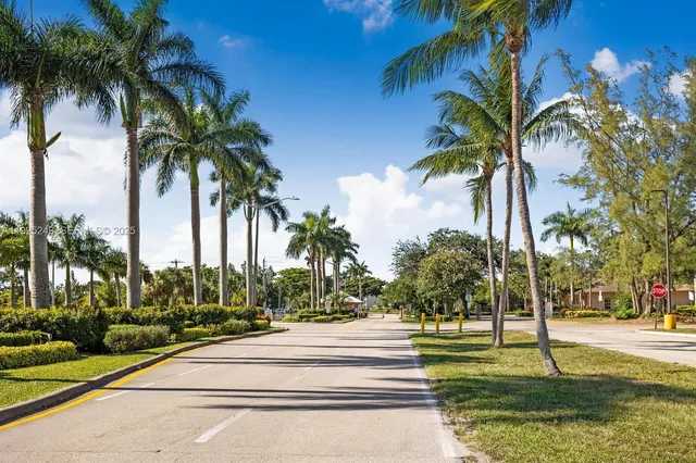 a park with palm trees