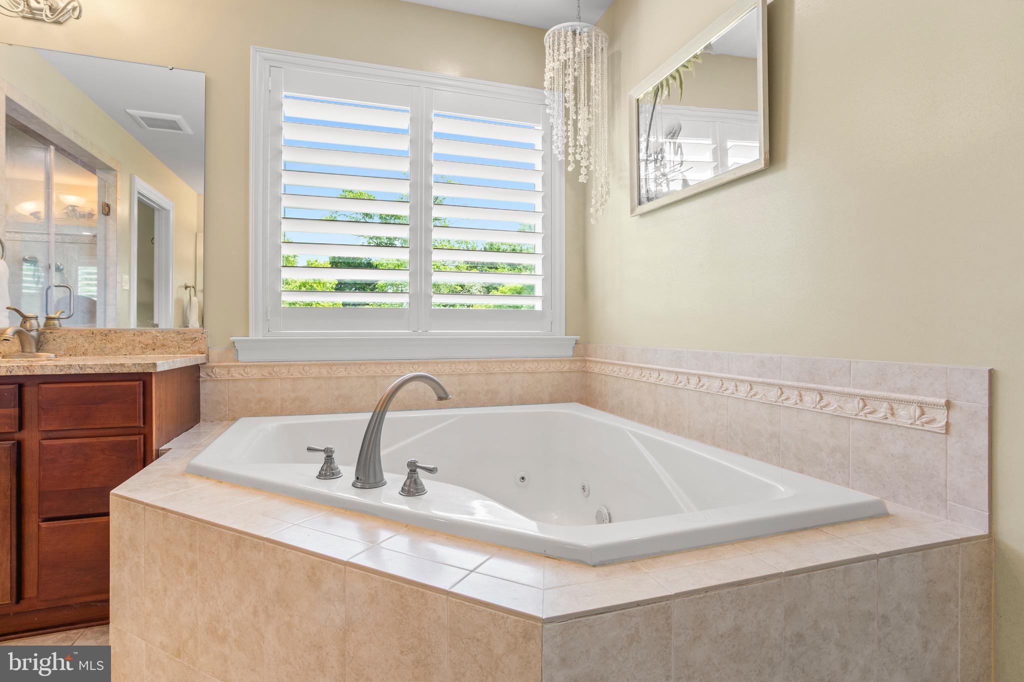 3325 Cox Road Chesapeake Beach, MD 20732 - Photo 48 of 127 Soaking tub
