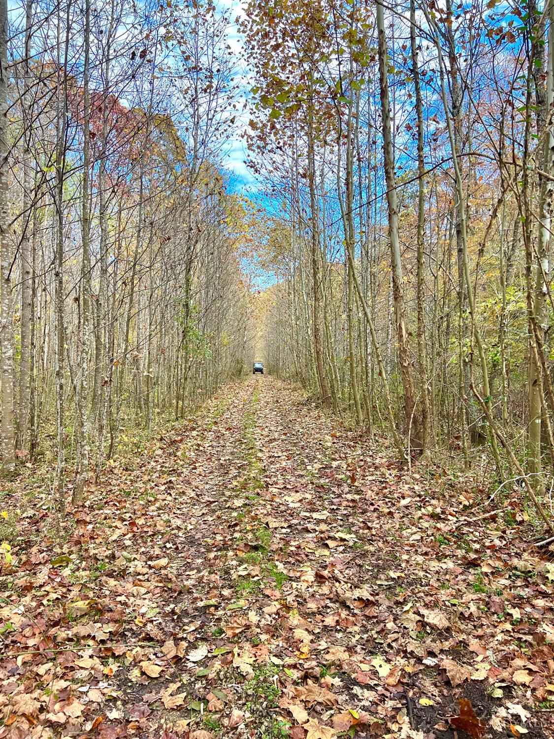 0 South Chenoweth Fork Road Piketon, OH 45661 - Photo 40 of 95