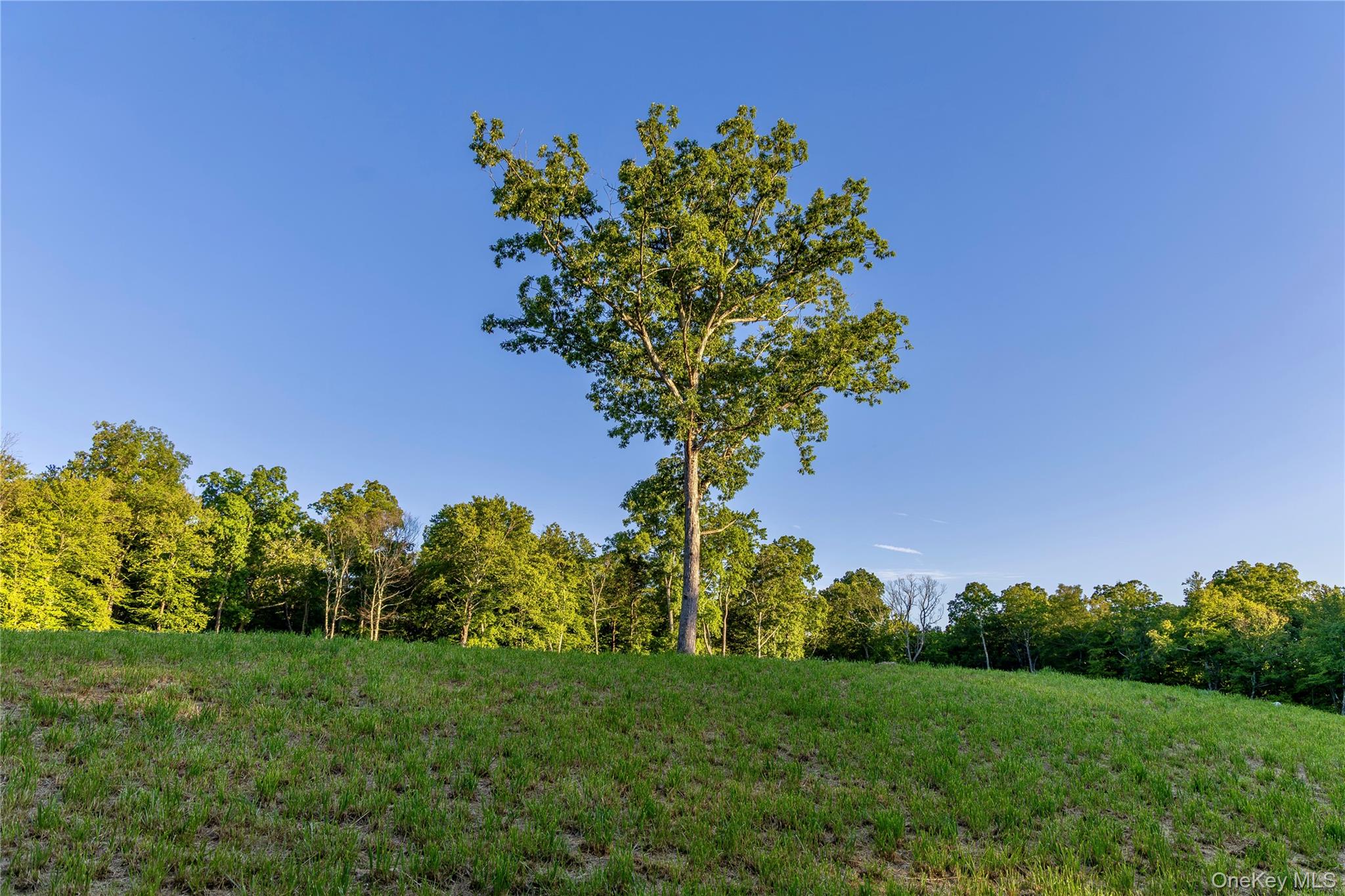 Mallory Road Verbank, NY 12585 - Photo 4 of 16