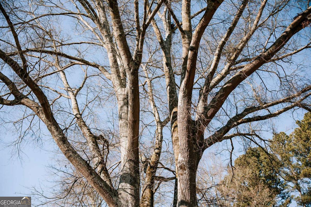 119 Ralph Bridges Road Lexington, GA 30648 - Photo 41 of 65