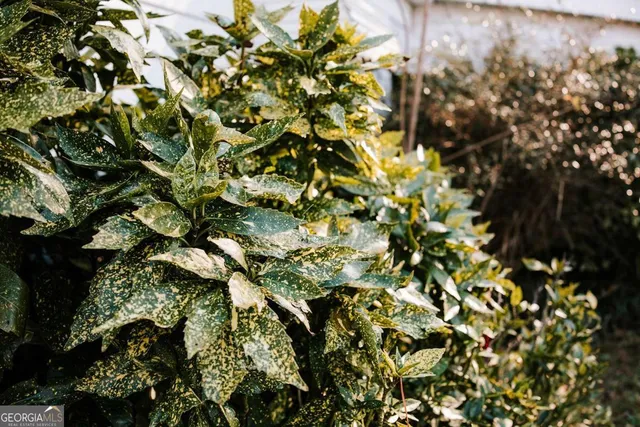 $750,000 | 119 Ralph Bridges Road, Lexington, GA 30648